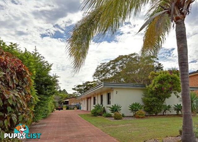 3 Pheasant Avenue BATEAU BAY NSW 2261