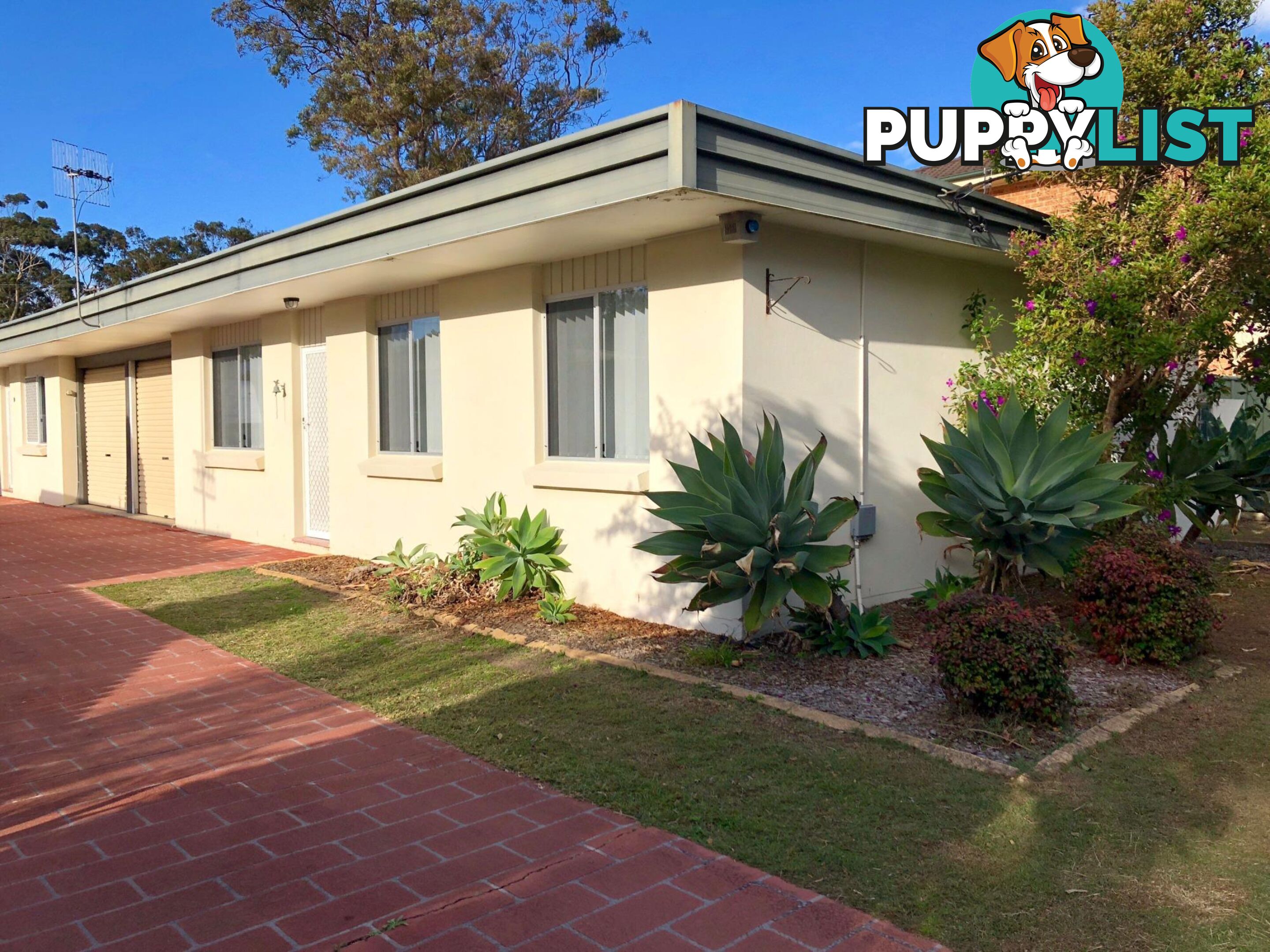 3 Pheasant Avenue BATEAU BAY NSW 2261