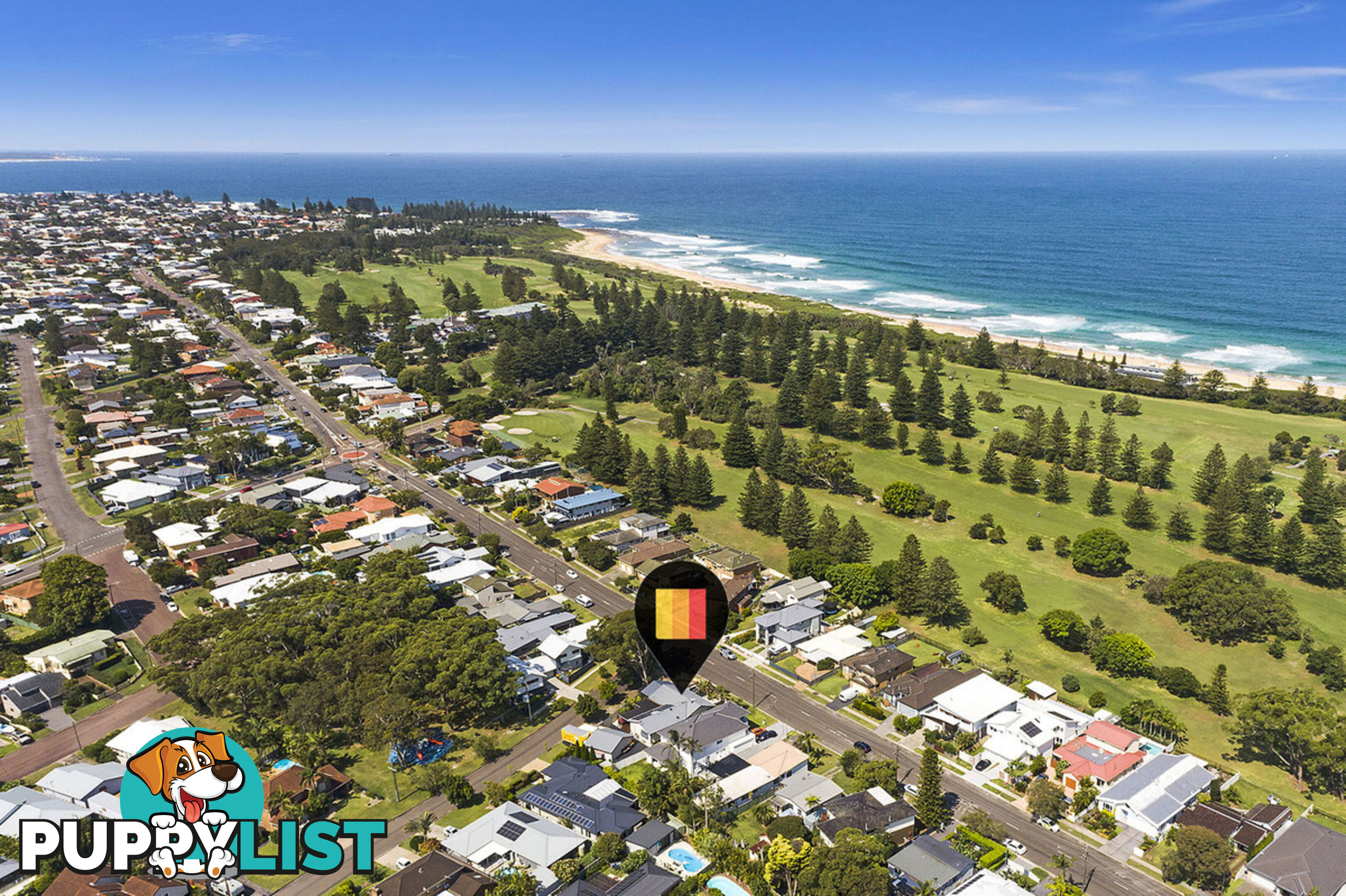 99 Grandview Street SHELLY BEACH NSW 2261