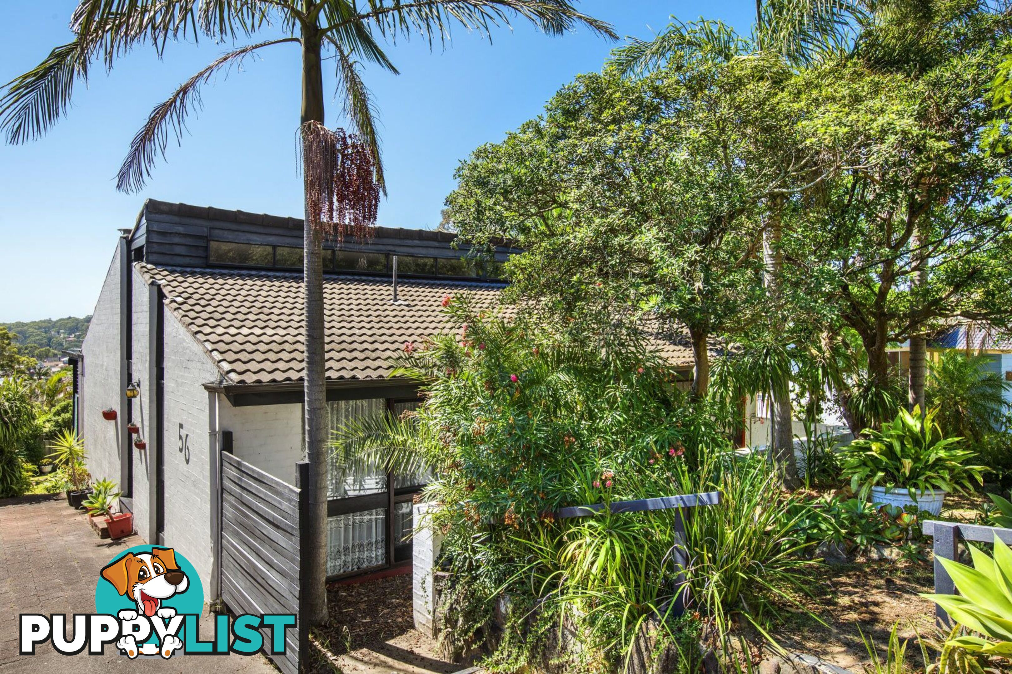 56 Promenade Avenue BATEAU BAY NSW 2261