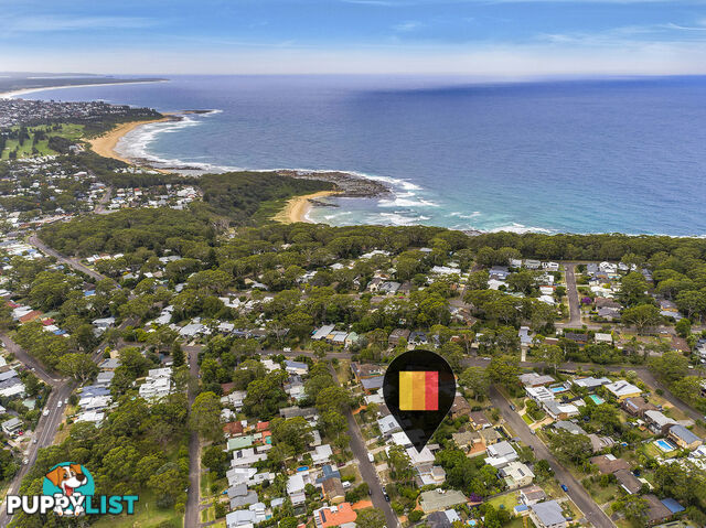 17 Sycamore Avenue BATEAU BAY nsw 2261