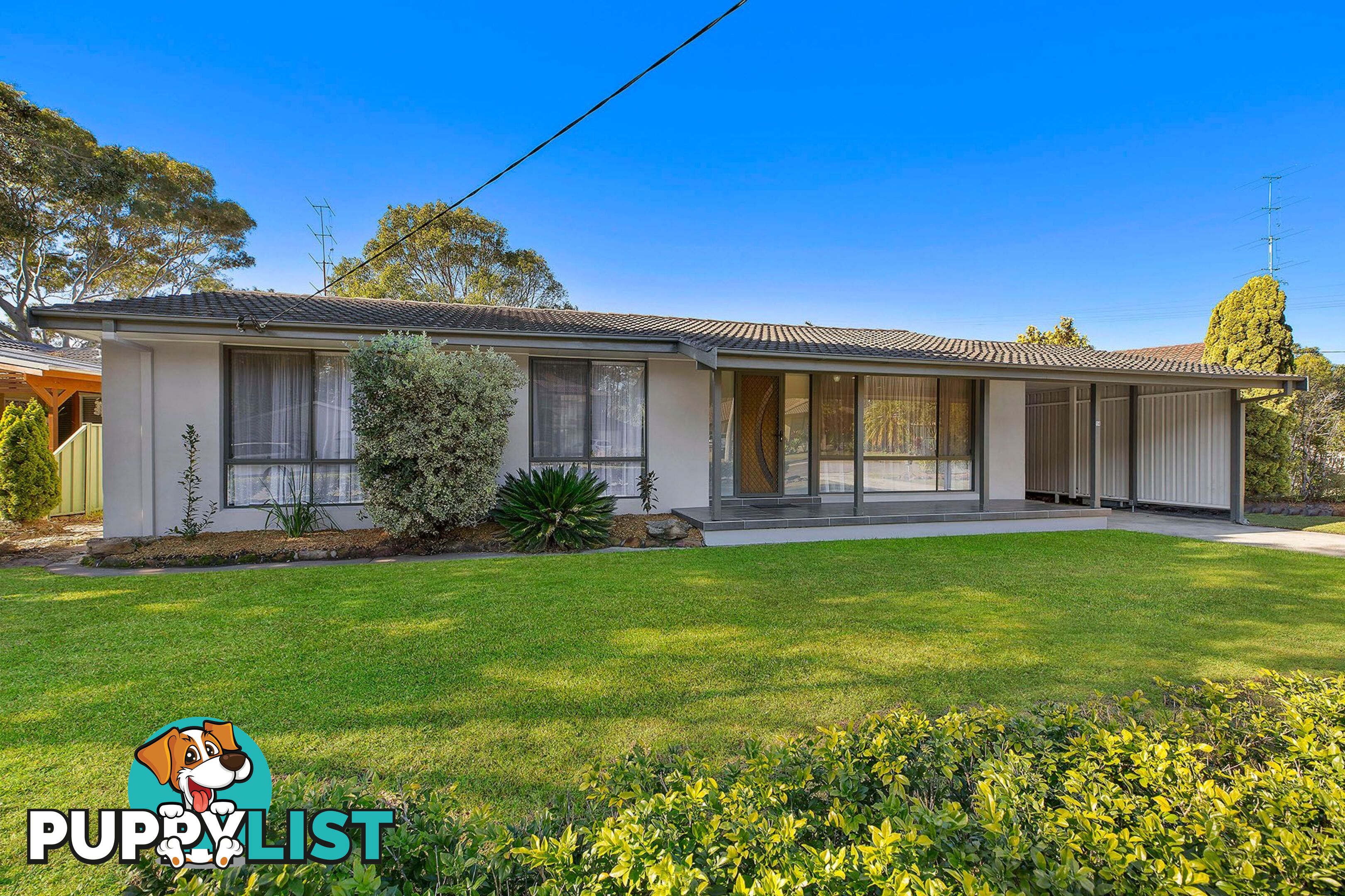 14 Bonnieview Street LONG JETTY NSW 2261