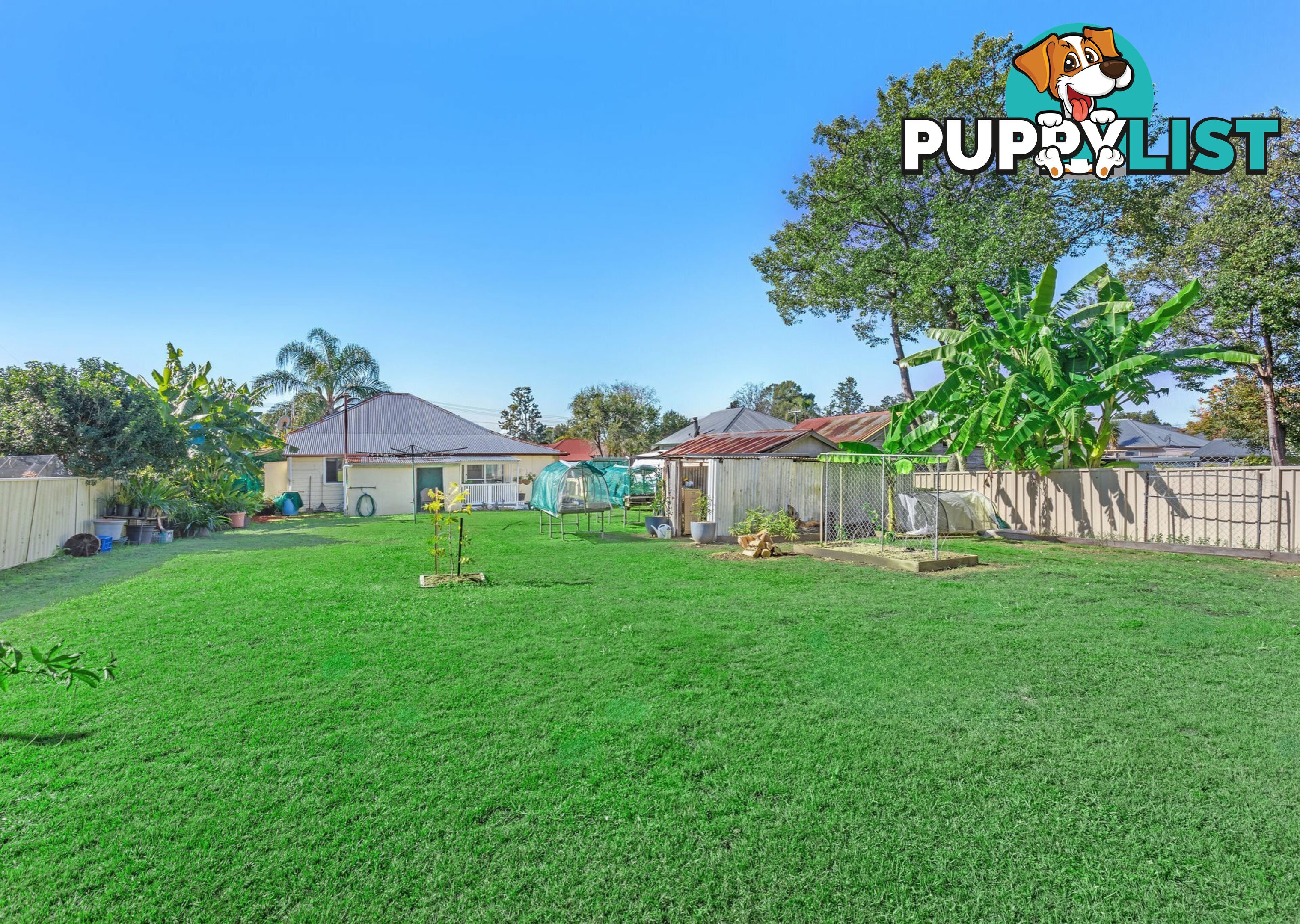 16 Boyce Street TAREE NSW 2430