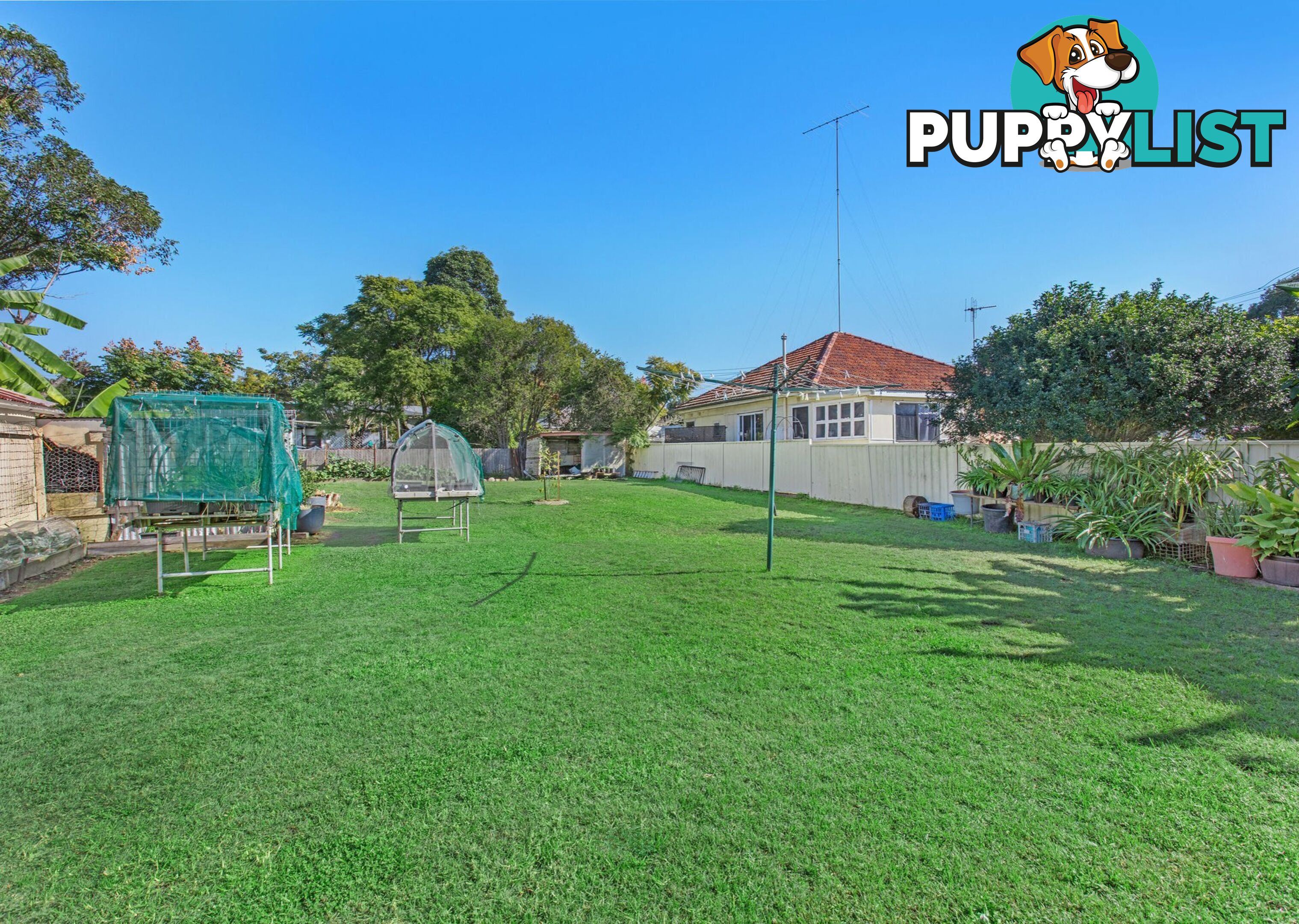 16 Boyce Street TAREE NSW 2430