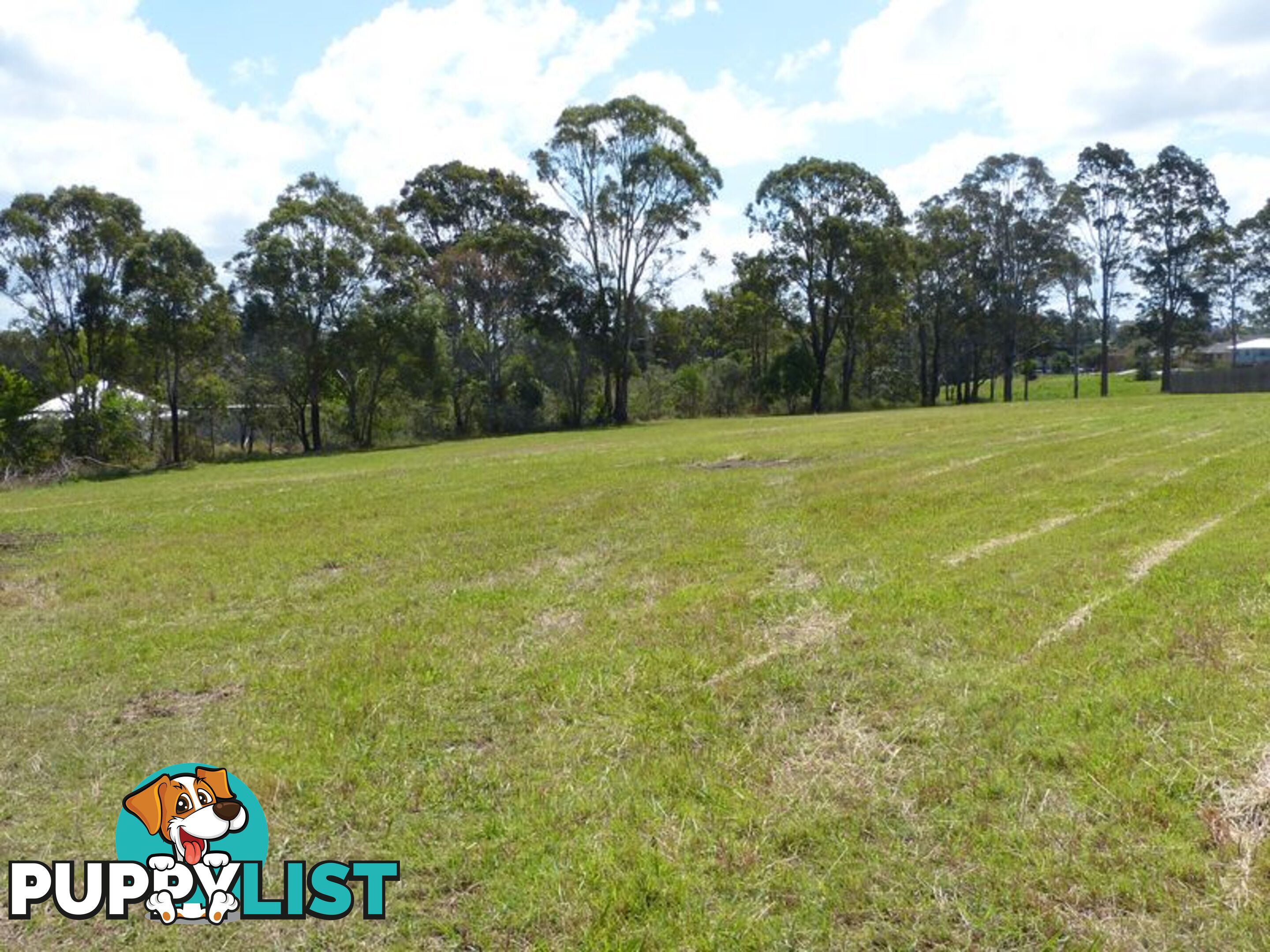 Lot 14 Railway Parade TAREE NSW 2430