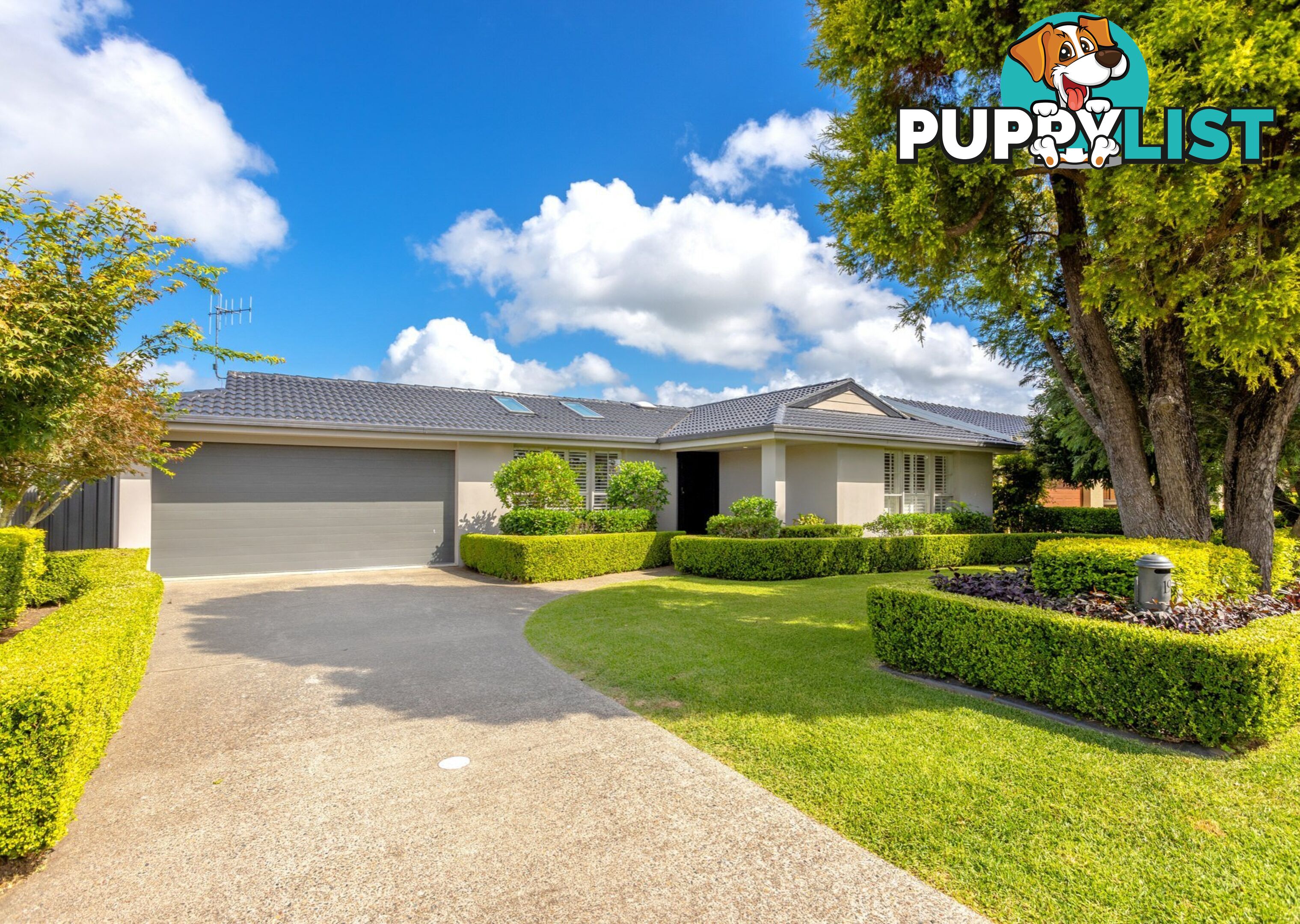 19 Petken Drive TAREE NSW 2430