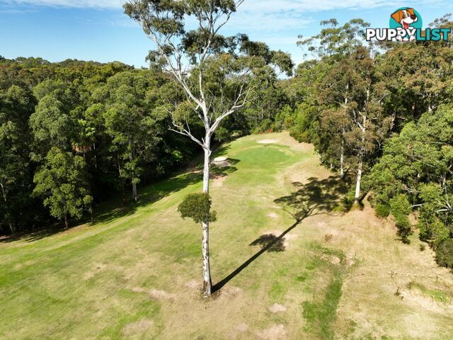 21 The Knoll TALLWOODS VILLAGE NSW 2430