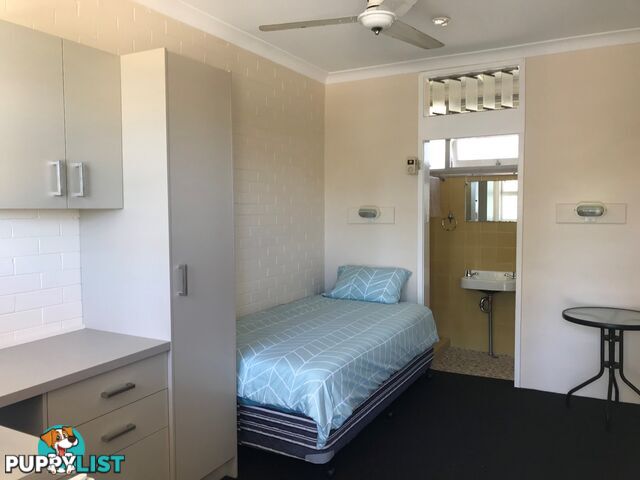 55 Chatham Avenue "Blackboy Tree TAREE NSW 2430