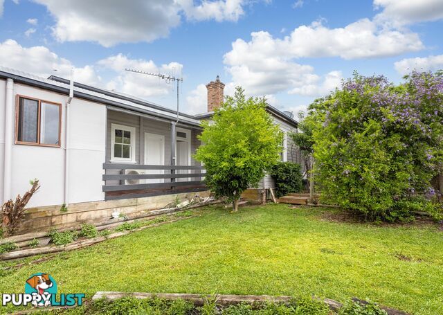 113 Cornwall Street TAREE NSW 2430