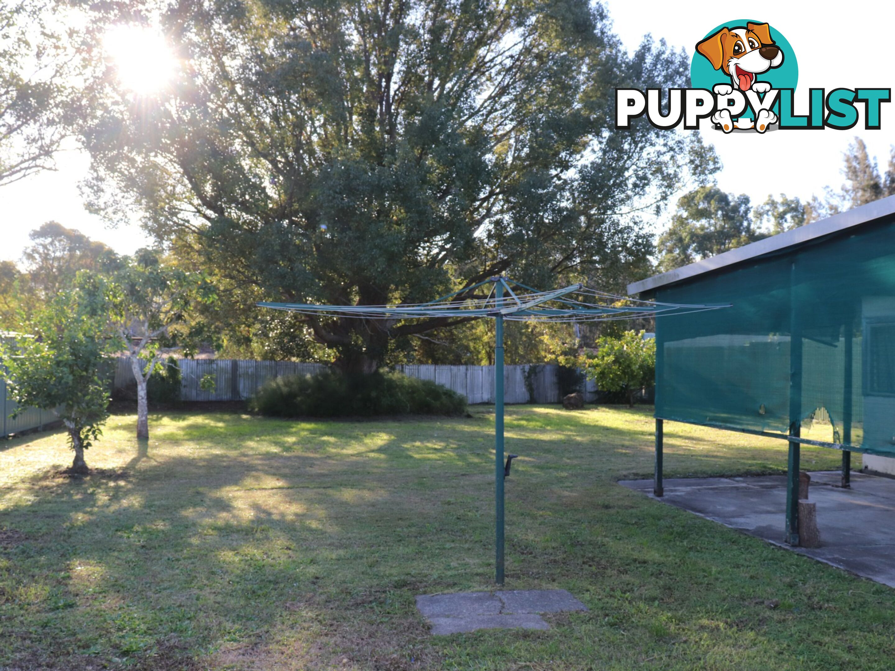 13 Railway Street TAREE NSW 2430