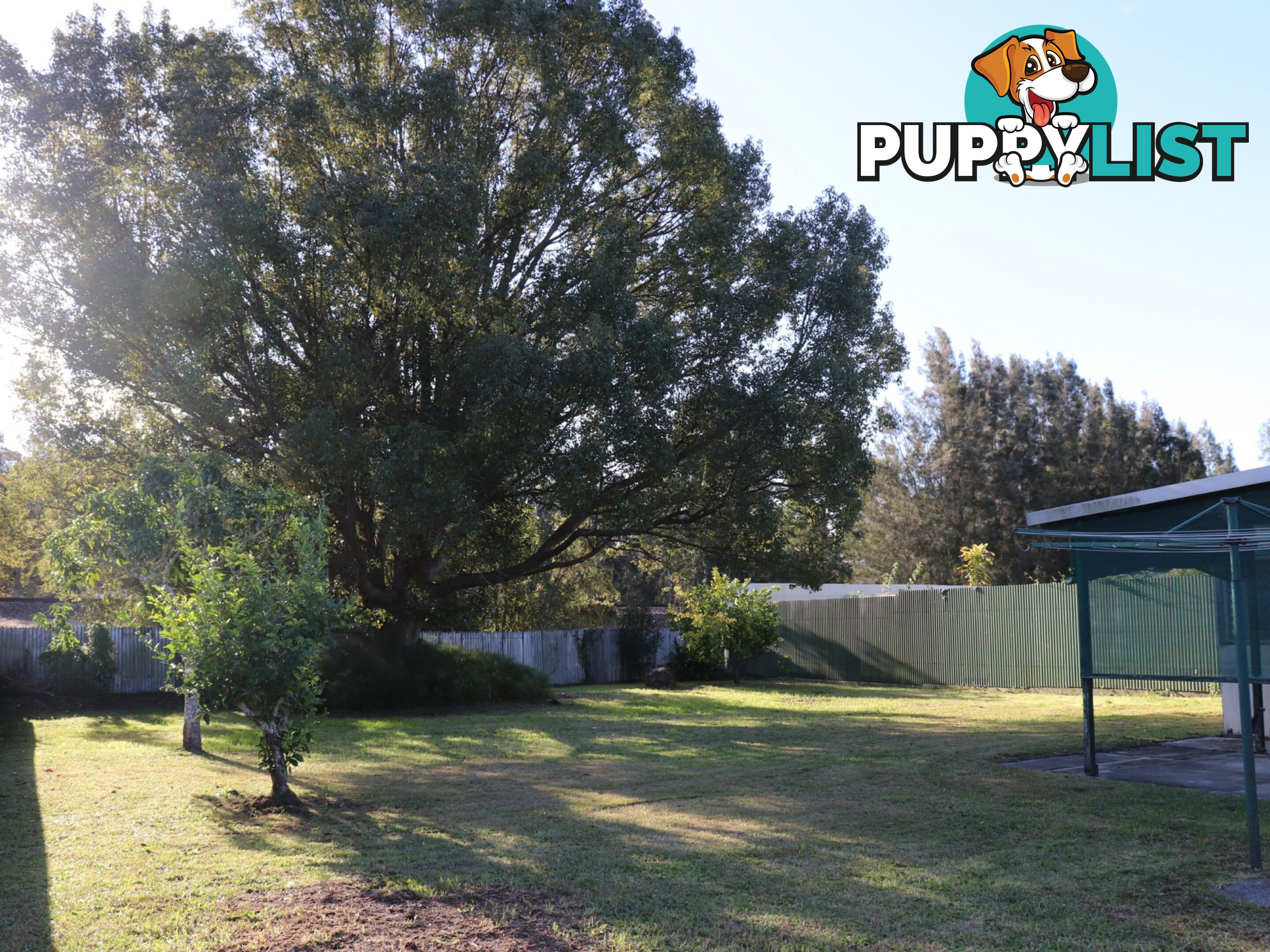 13 Railway Street TAREE NSW 2430