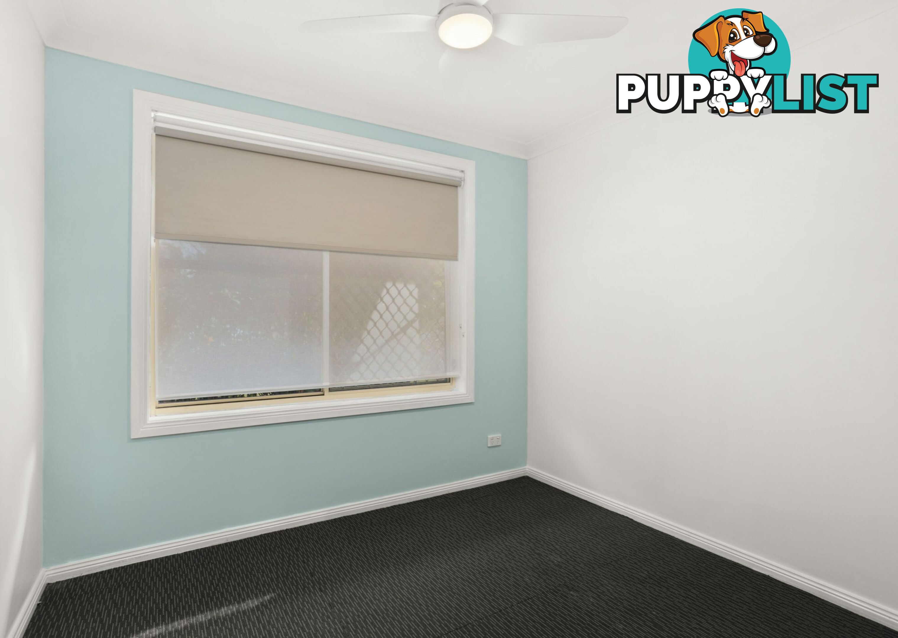 50 Grey Gum Road TAREE NSW 2430