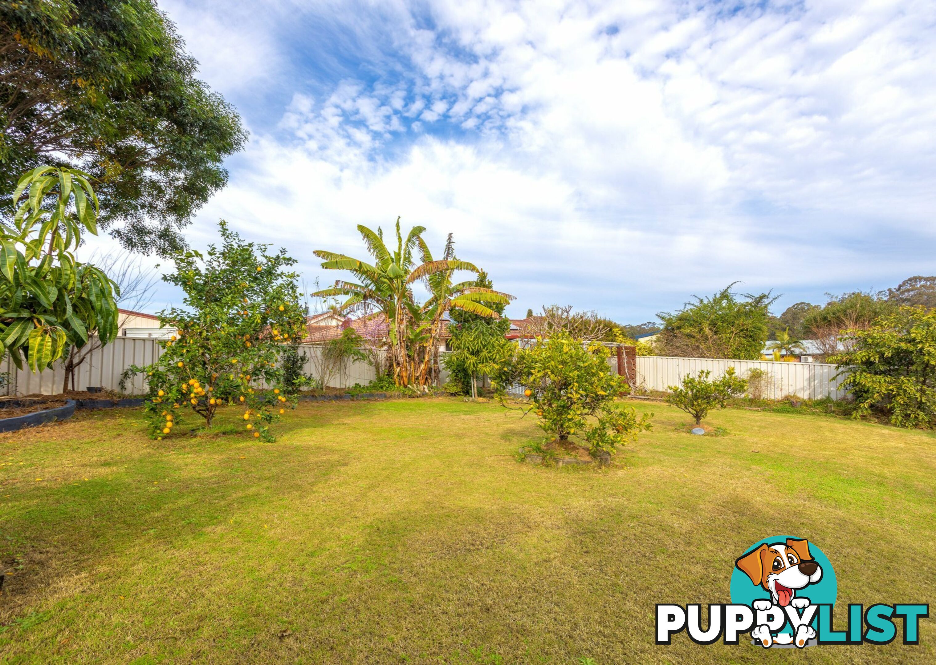 50 Grey Gum Road TAREE NSW 2430