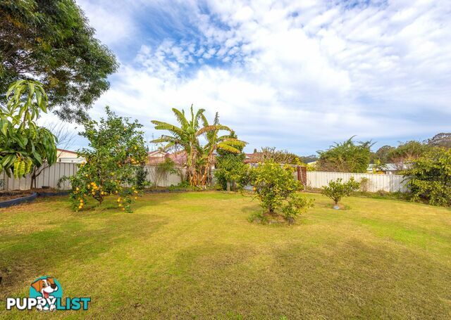50 Grey Gum Road TAREE NSW 2430