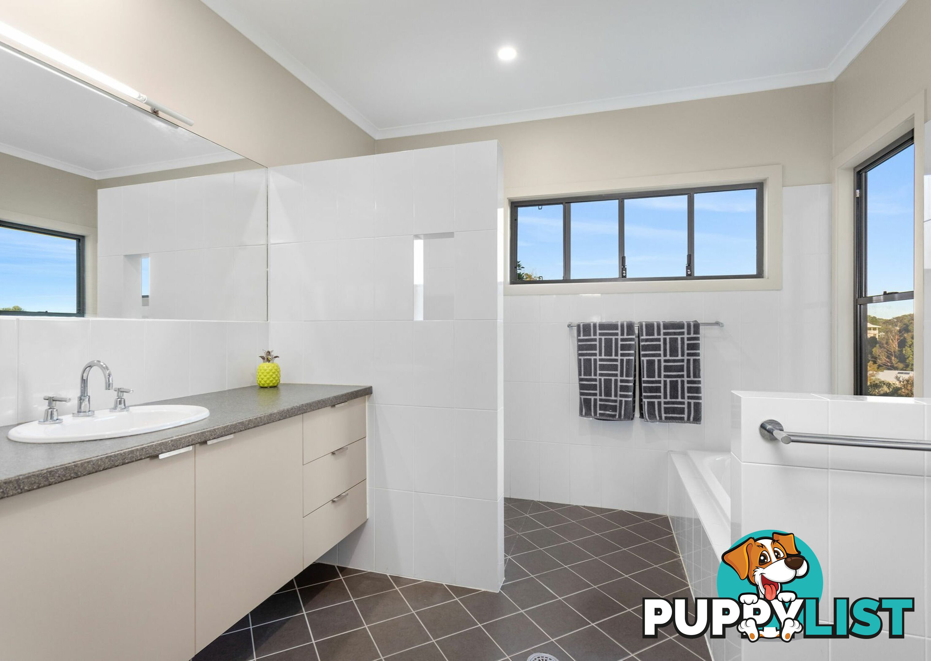 3 Cape View Way TALLWOODS VILLAGE NSW 2430