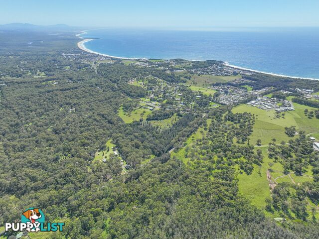 411 Blackhead Road HALLIDAYS POINT NSW 2430