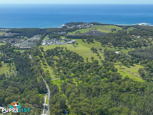 411 Blackhead Road HALLIDAYS POINT NSW 2430