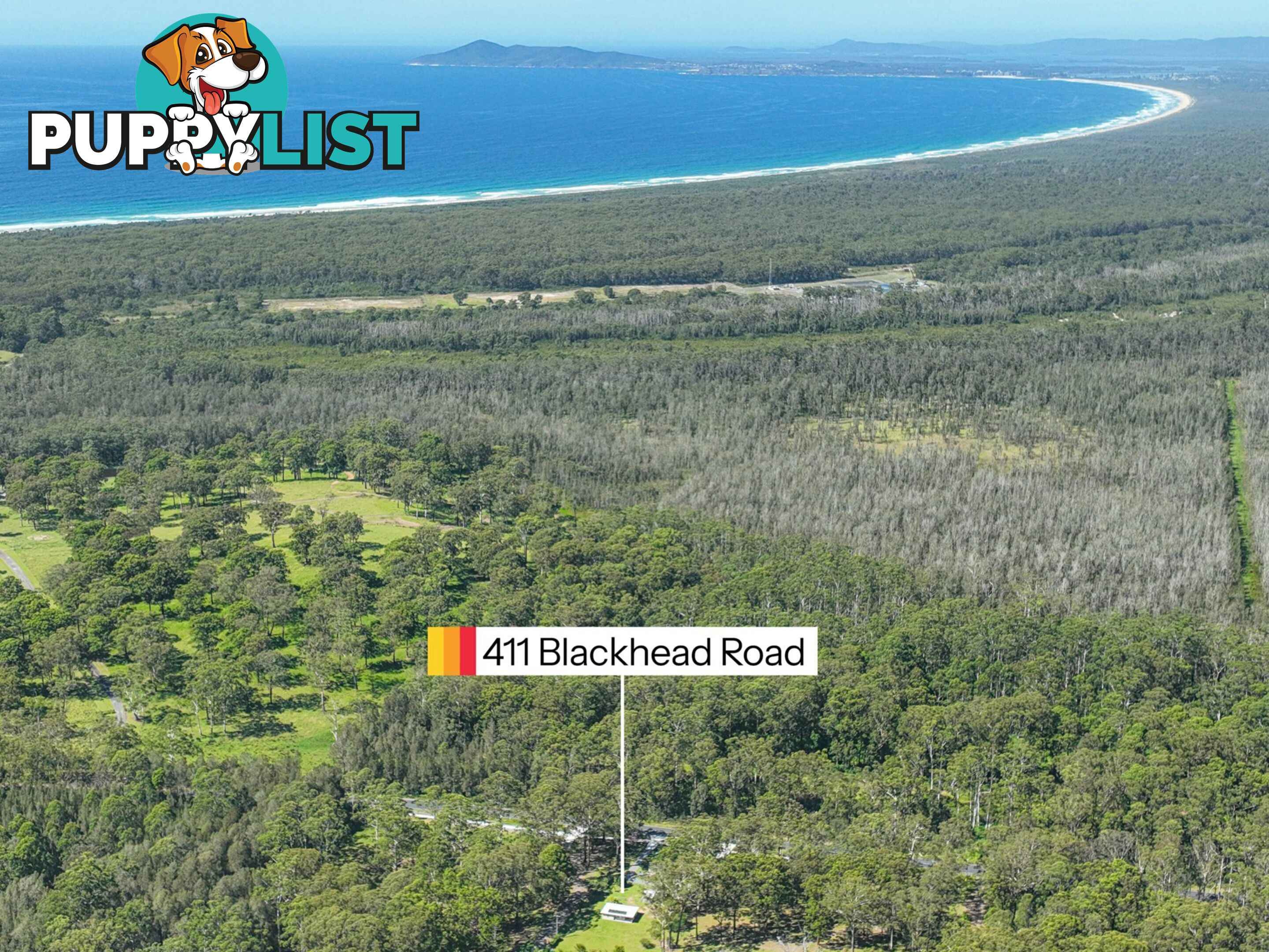 411 Blackhead Road HALLIDAYS POINT NSW 2430