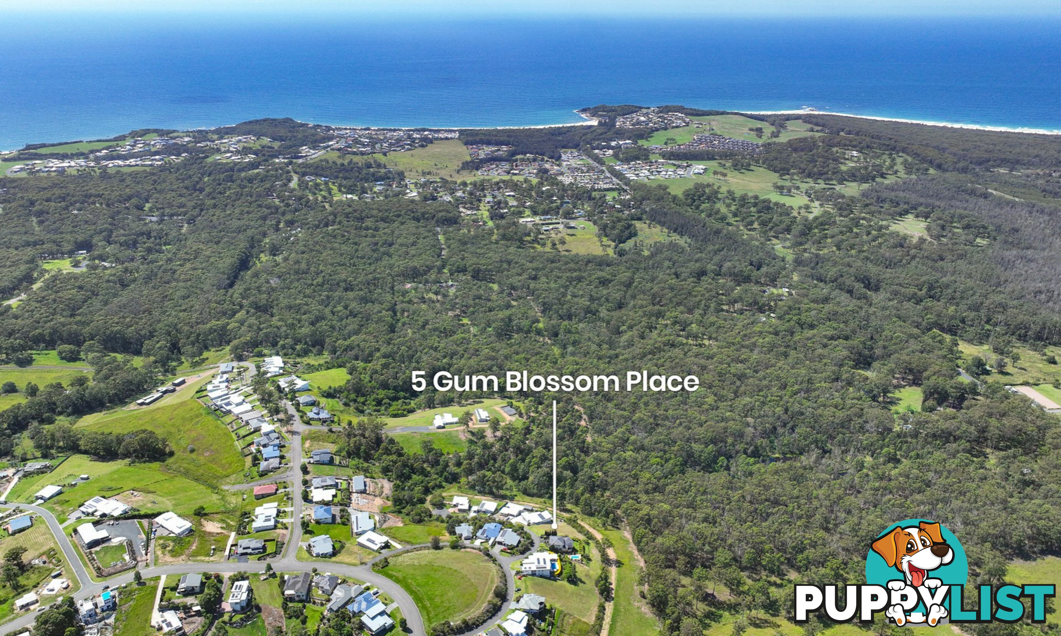 5 Gum Blossom Place TALLWOODS VILLAGE NSW 2430