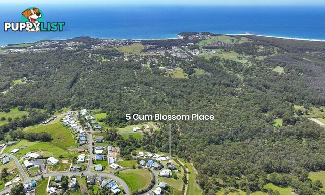 5 Gum Blossom Place TALLWOODS VILLAGE NSW 2430