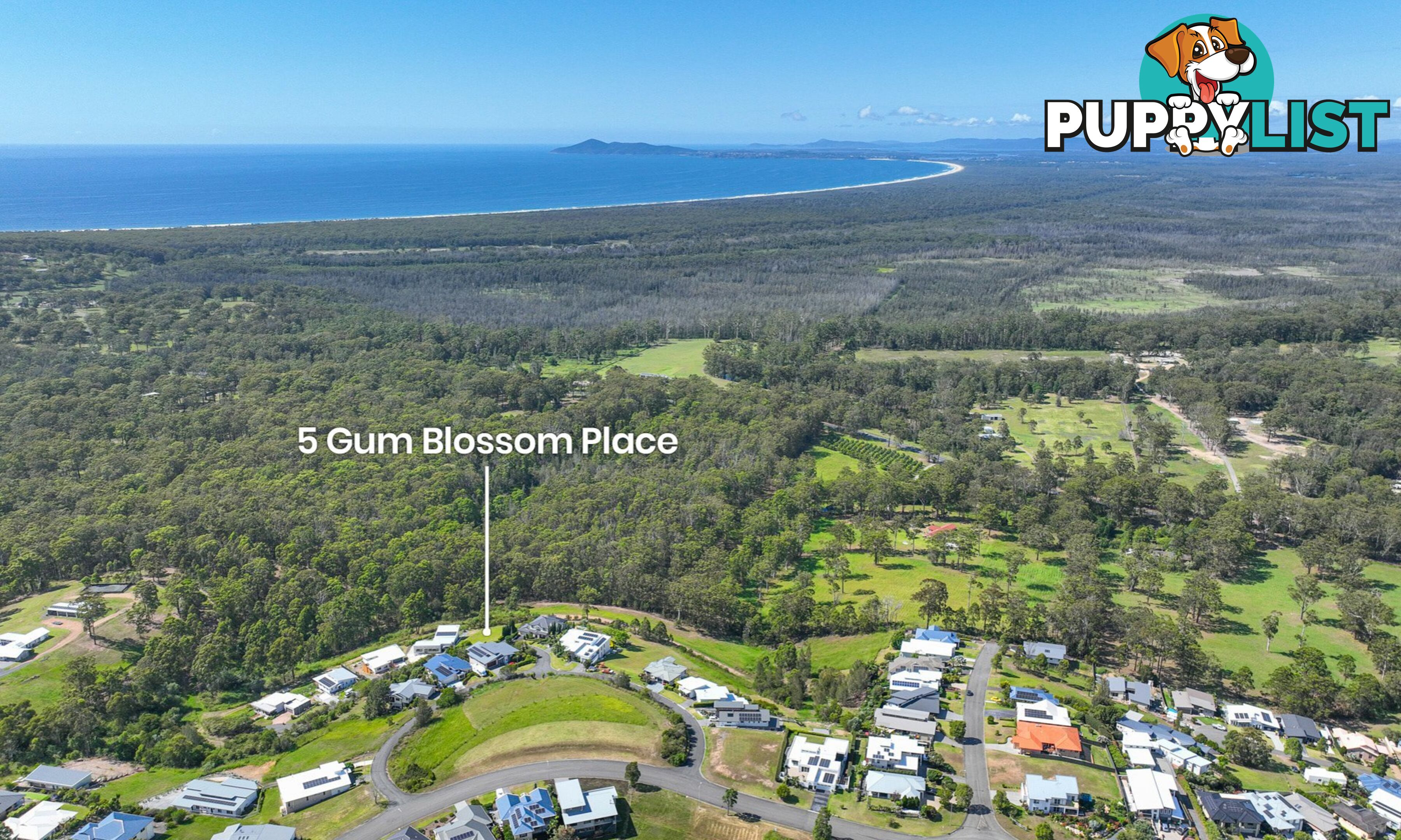 5 Gum Blossom Place TALLWOODS VILLAGE NSW 2430