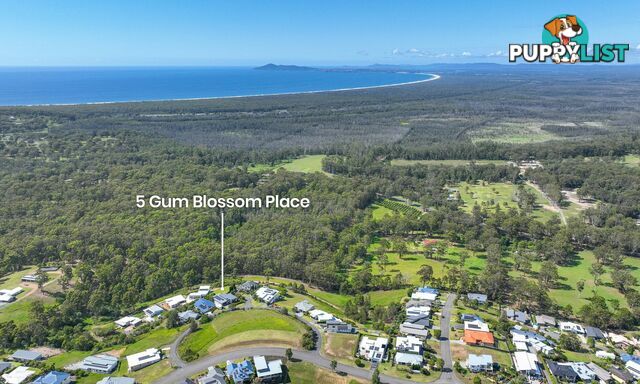 5 Gum Blossom Place TALLWOODS VILLAGE NSW 2430