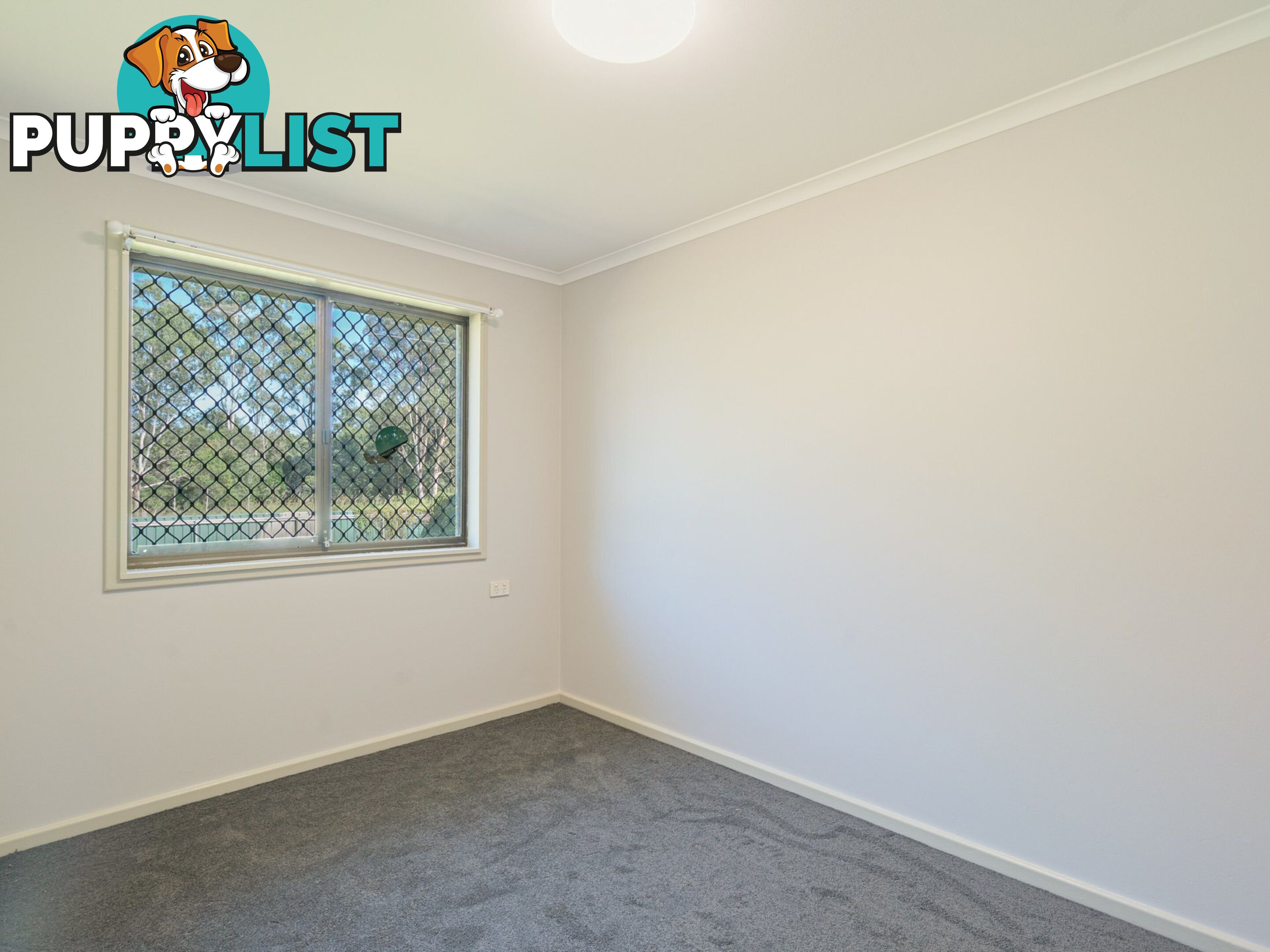 3 Barton Street TAREE NSW 2430