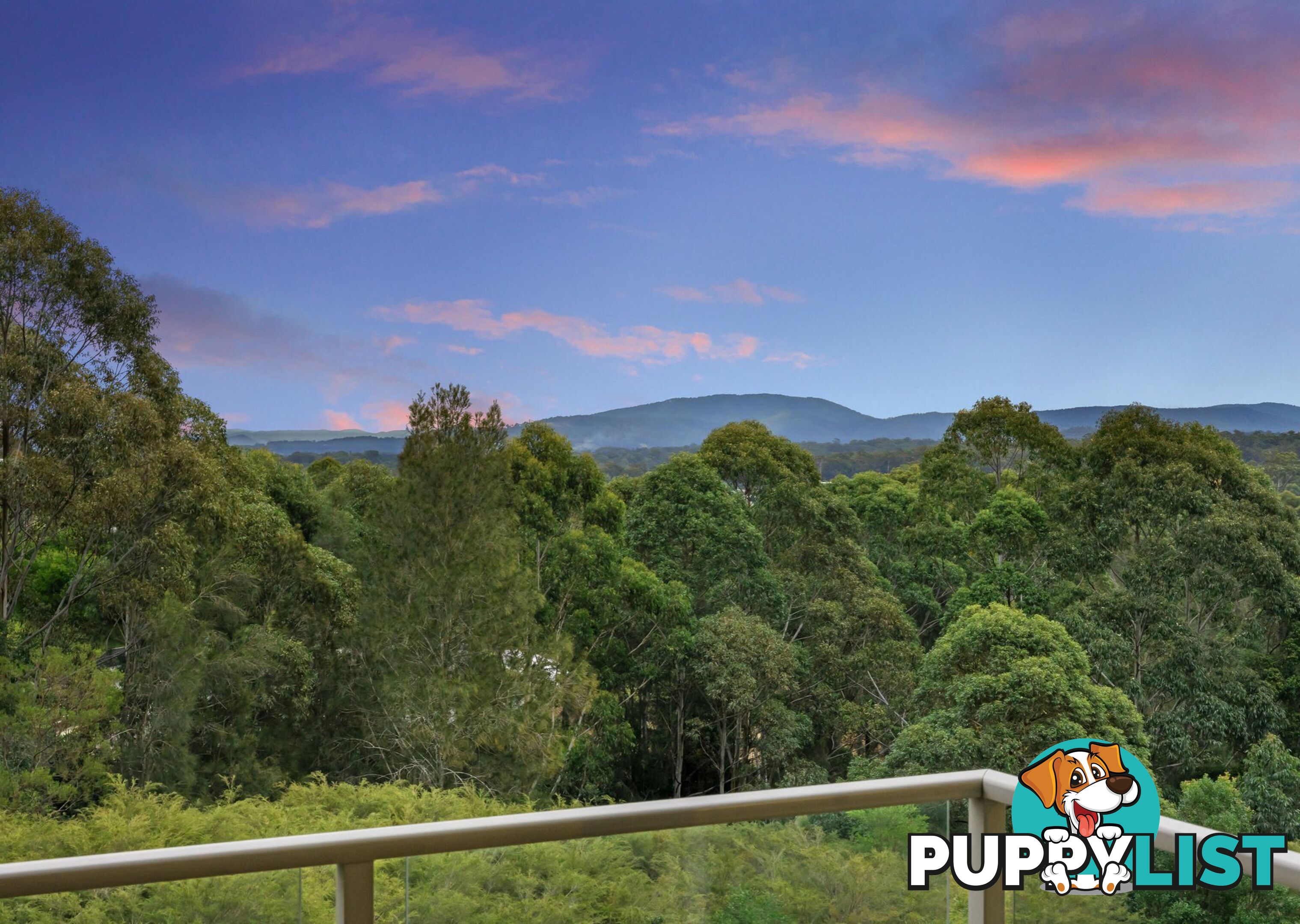 3 Lorikeet Way TALLWOODS VILLAGE NSW 2430