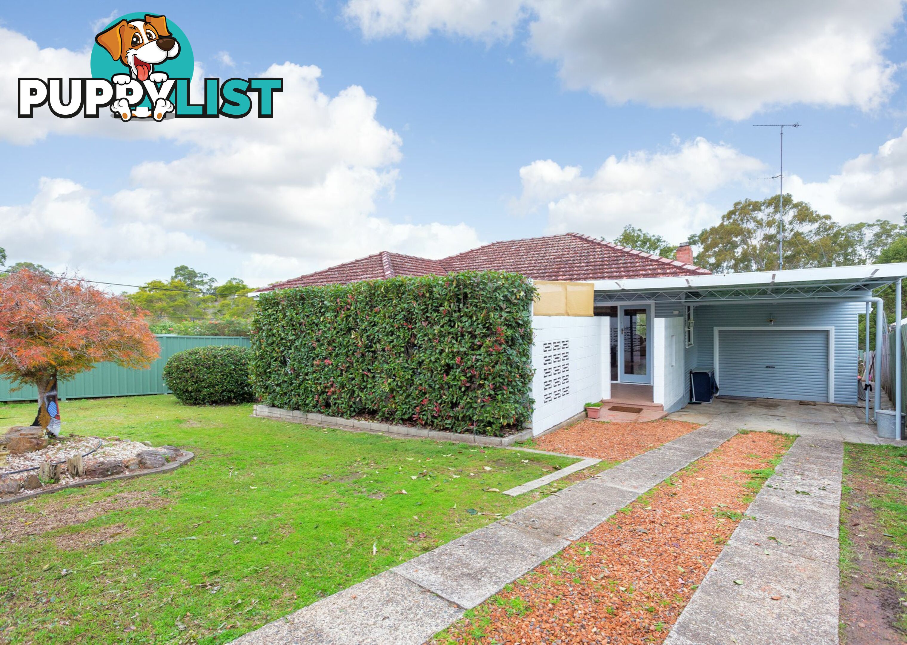 36 Alban Street TAREE NSW 2430