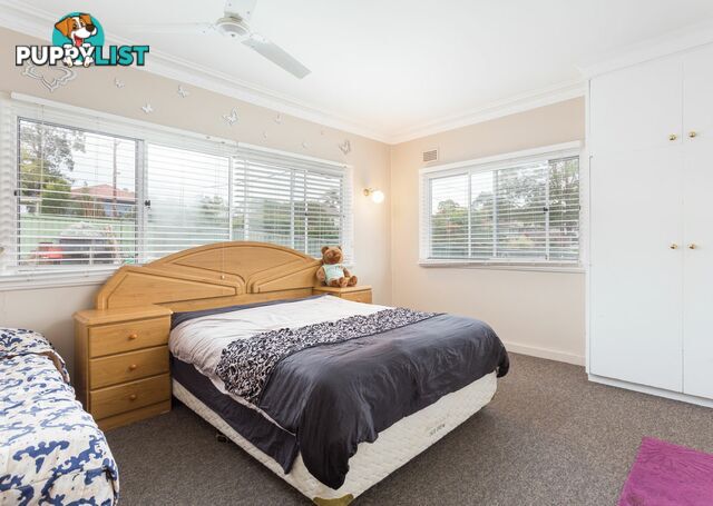 36 Alban Street TAREE NSW 2430