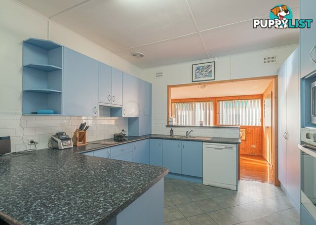 54 Peveril Street TINONEE NSW 2430