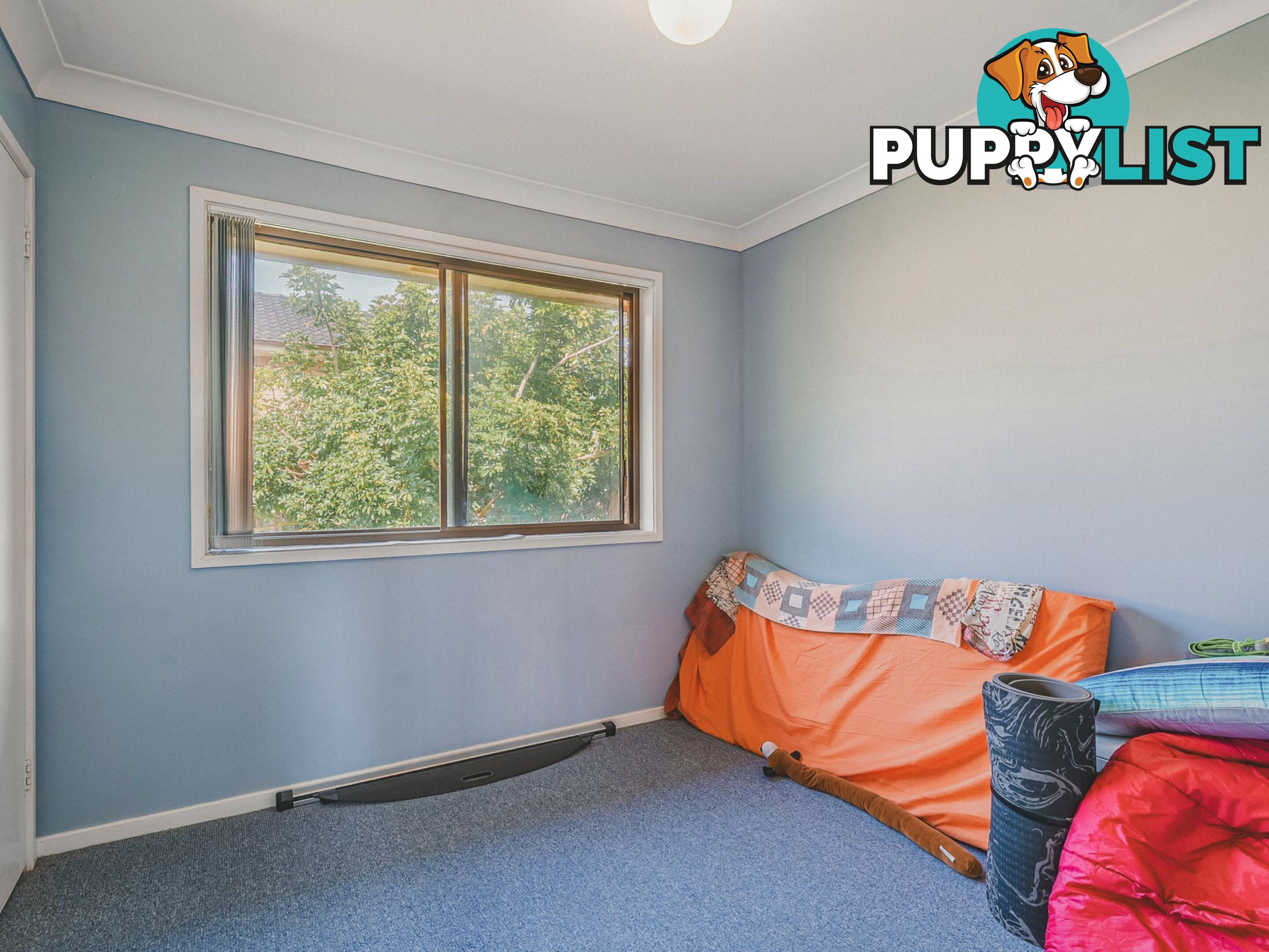 1 Court Place TAREE NSW 2430