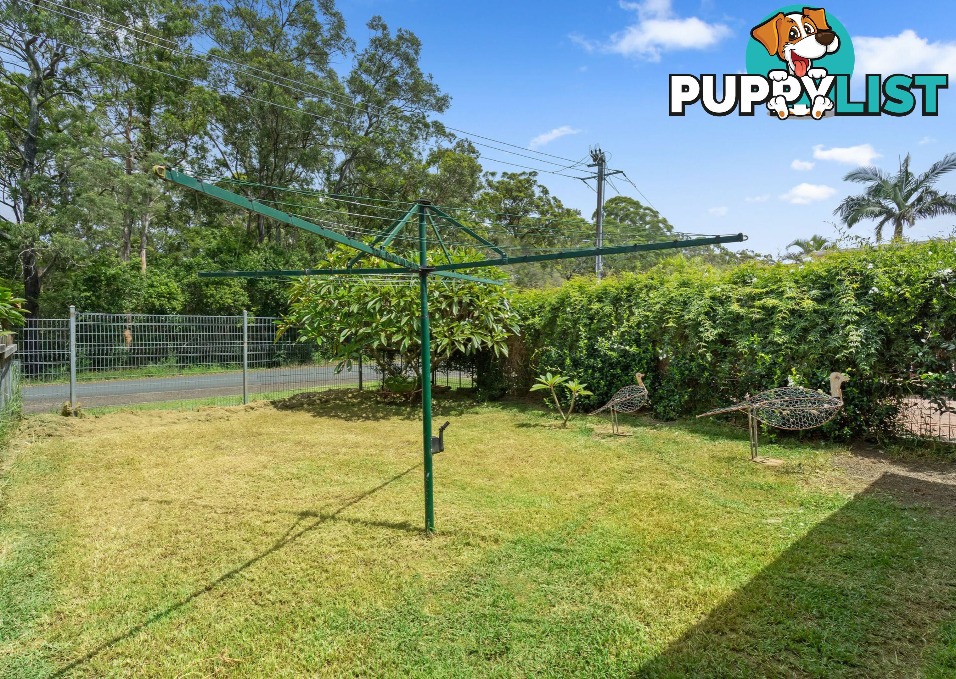 1 Butea Drive TAREE NSW 2430