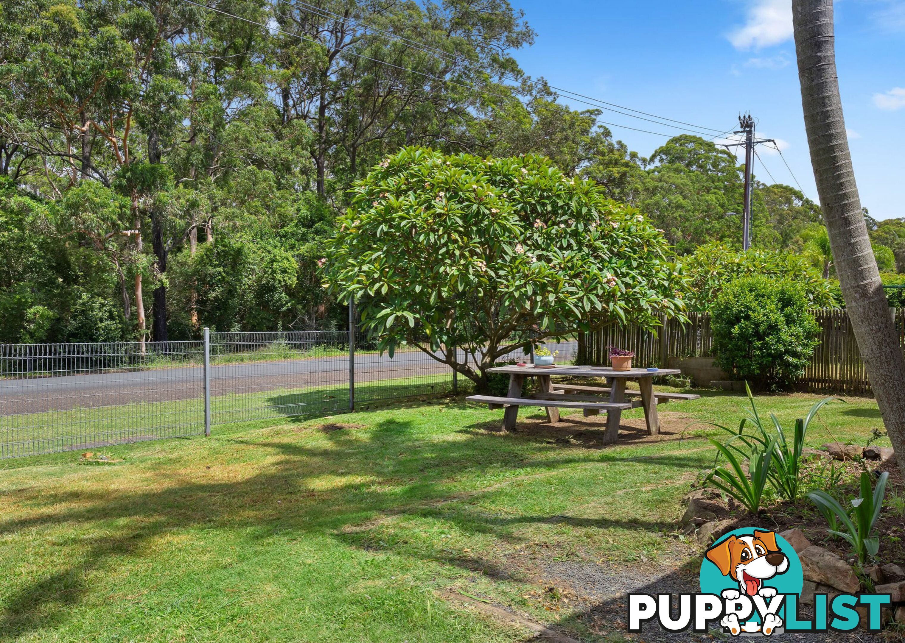 1 Butea Drive TAREE NSW 2430