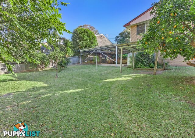12 Cotton Street TINONEE NSW 2430
