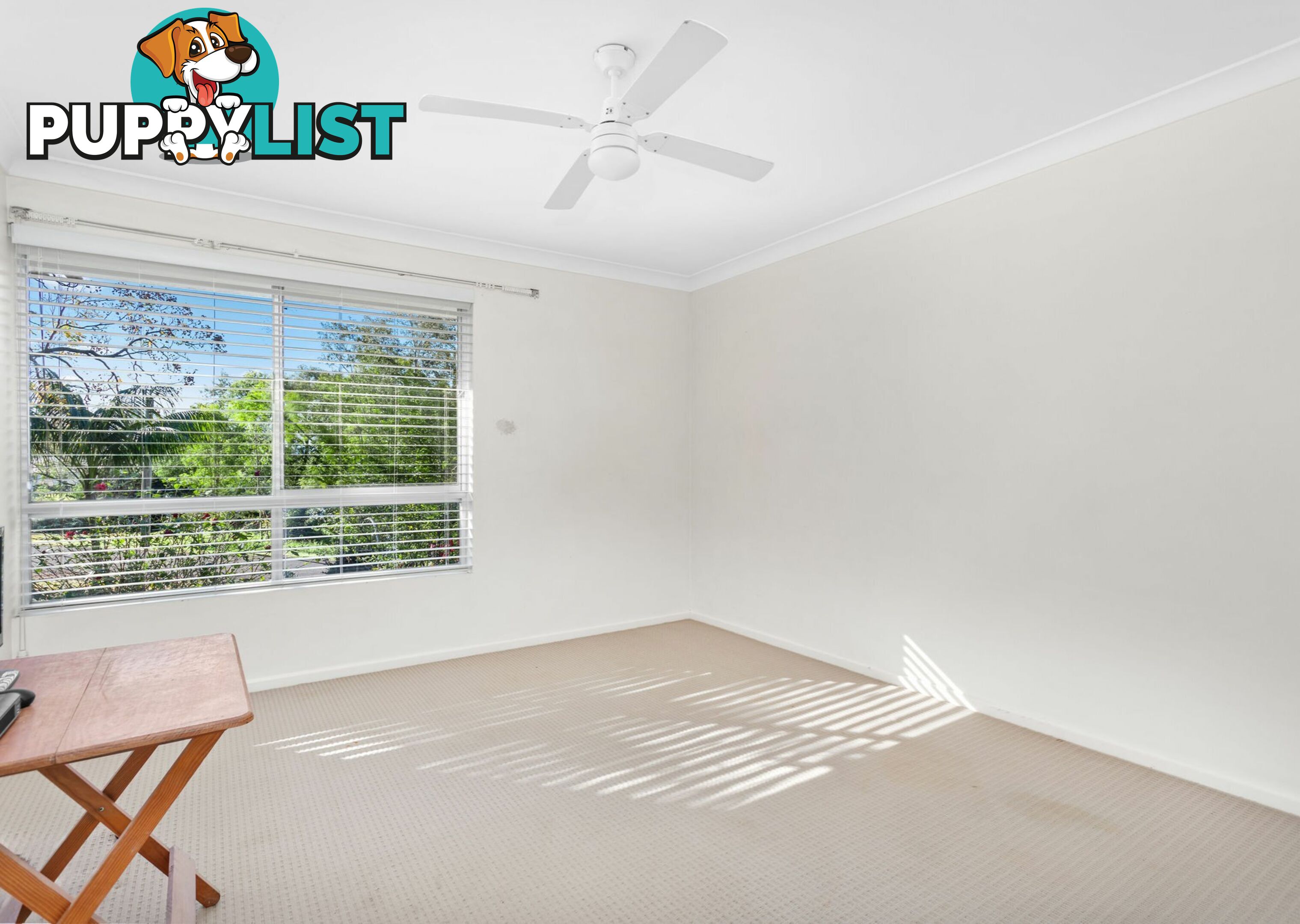 12 Cotton Street TINONEE NSW 2430