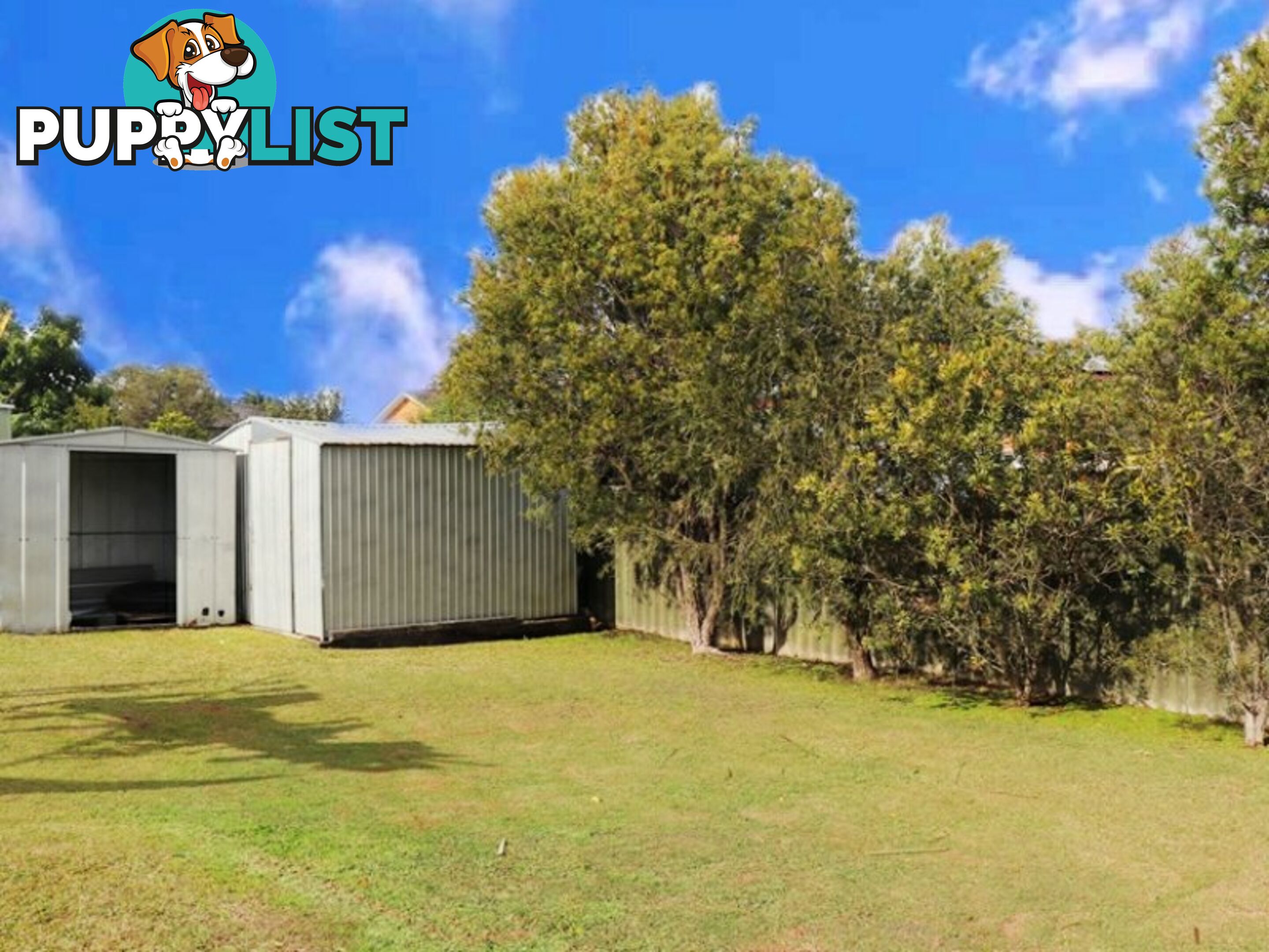 14 Muldoon Street TAREE NSW 2430