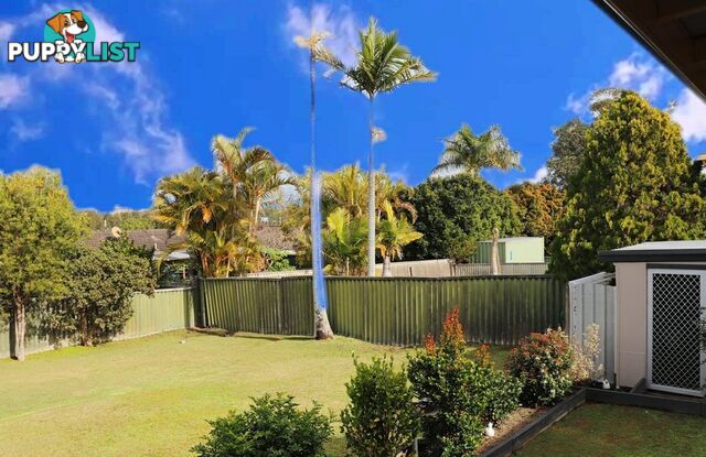 14 Muldoon Street TAREE NSW 2430