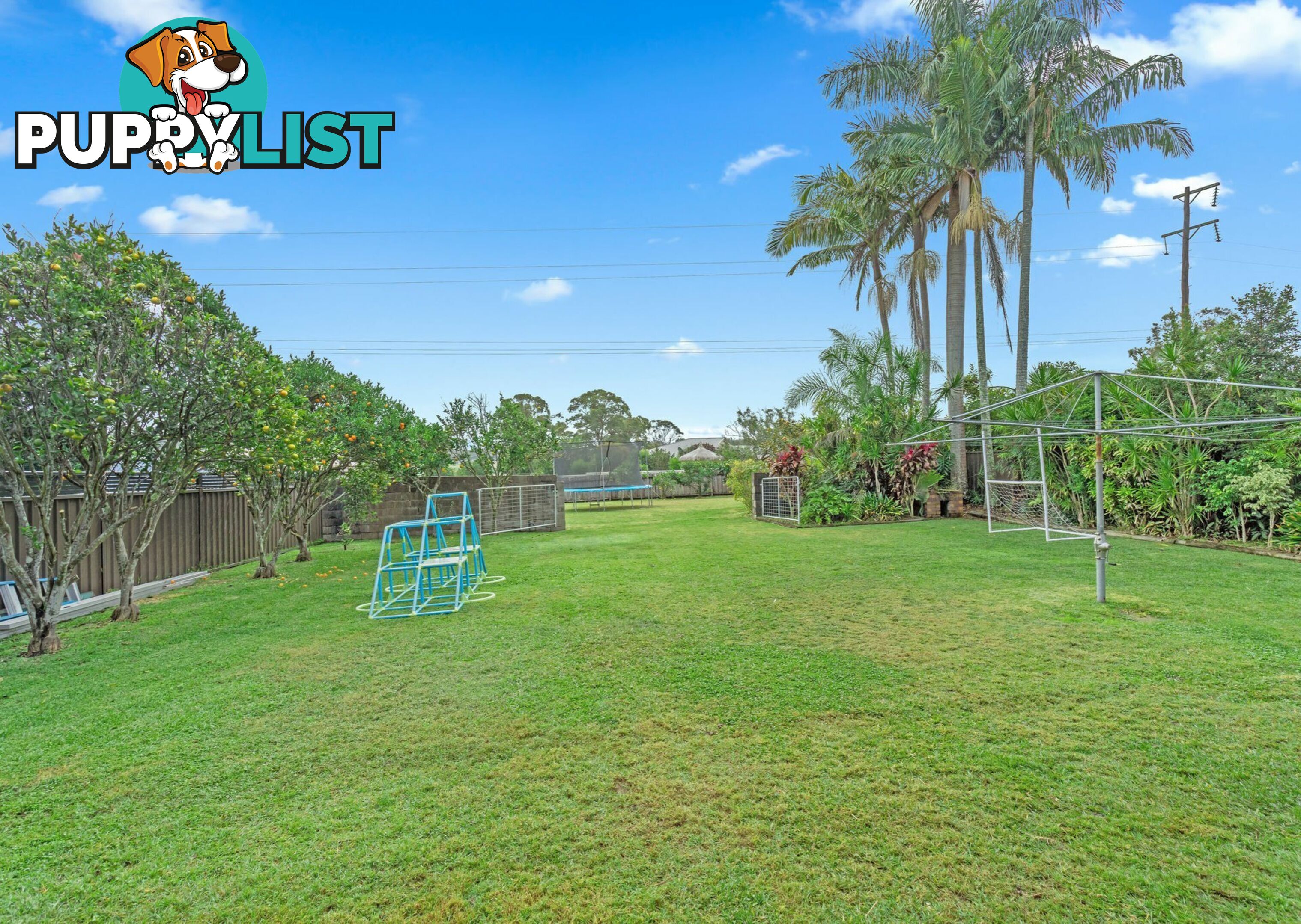 12 Cottonwood Street TAREE NSW 2430