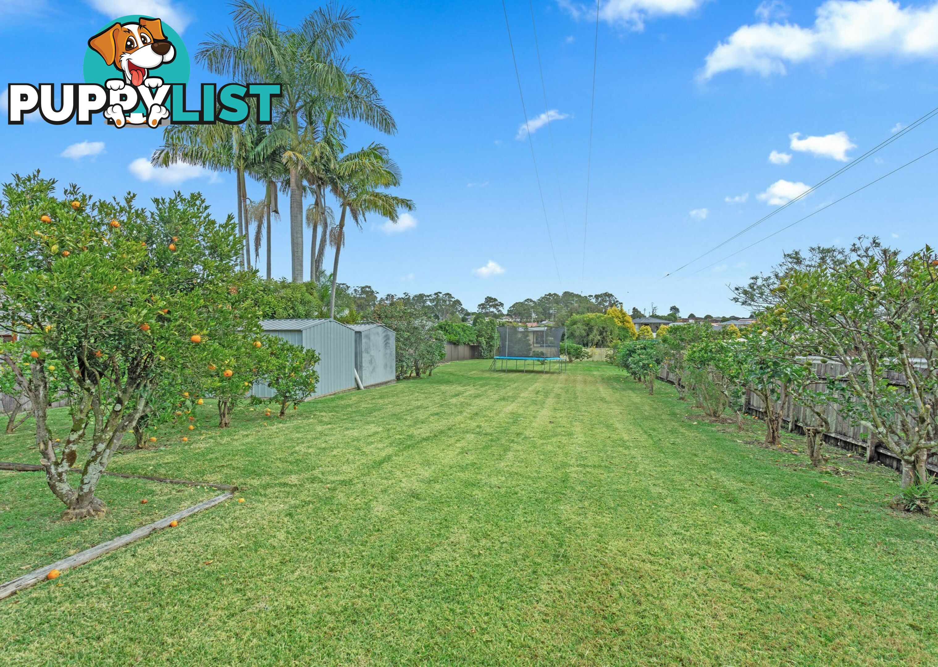 12 Cottonwood Street TAREE NSW 2430