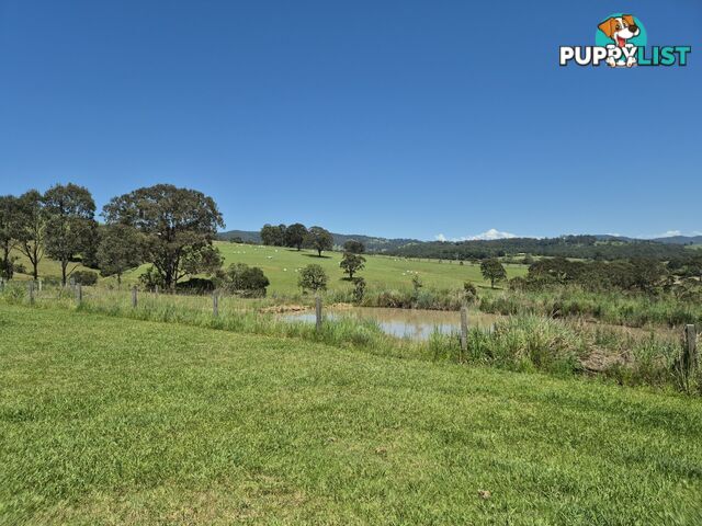 1954 Willina Road BUNYAH NSW 2429