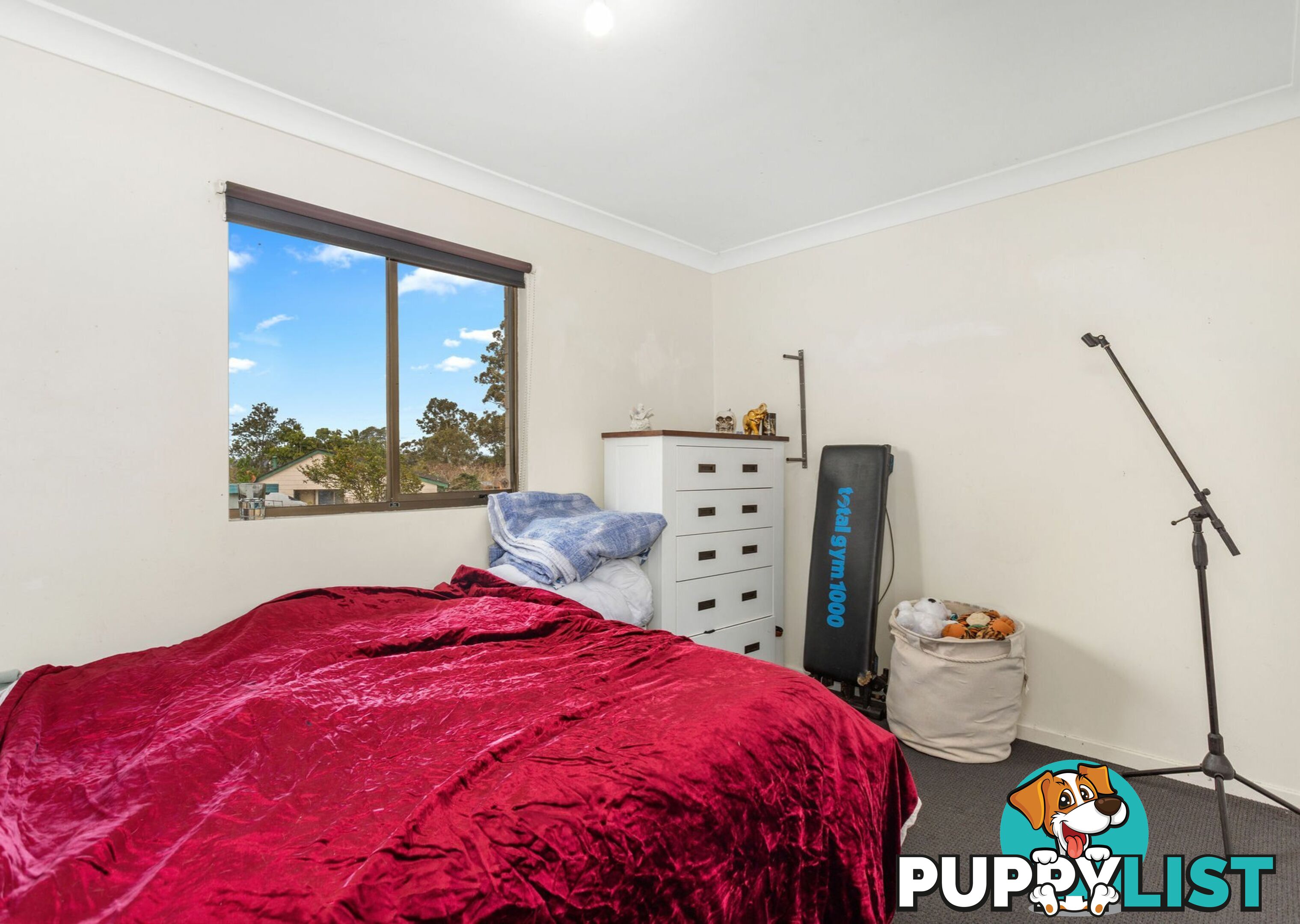 6 Mawarra Place TAREE NSW 2430