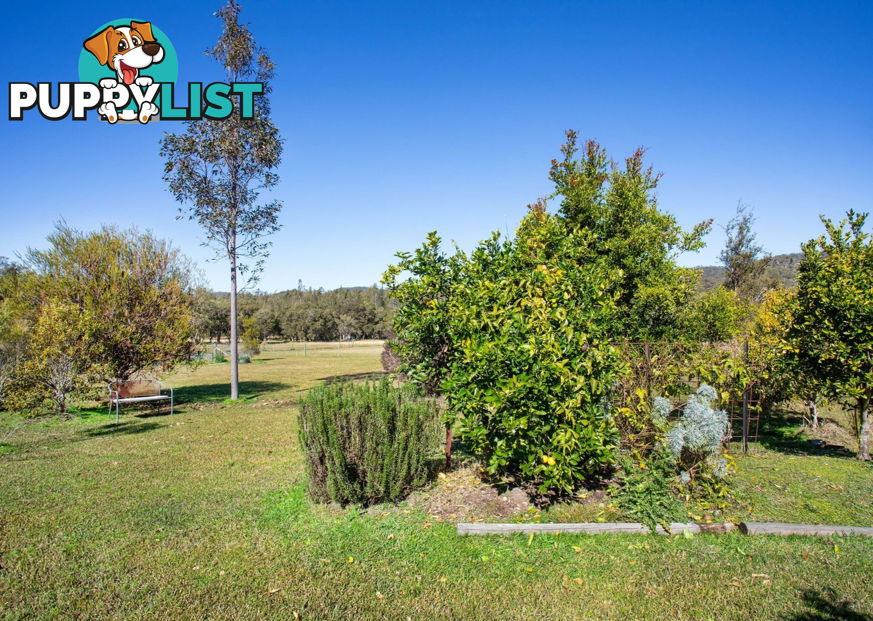 102 Melaleuca Drive COOLONGOLOOK NSW 2423