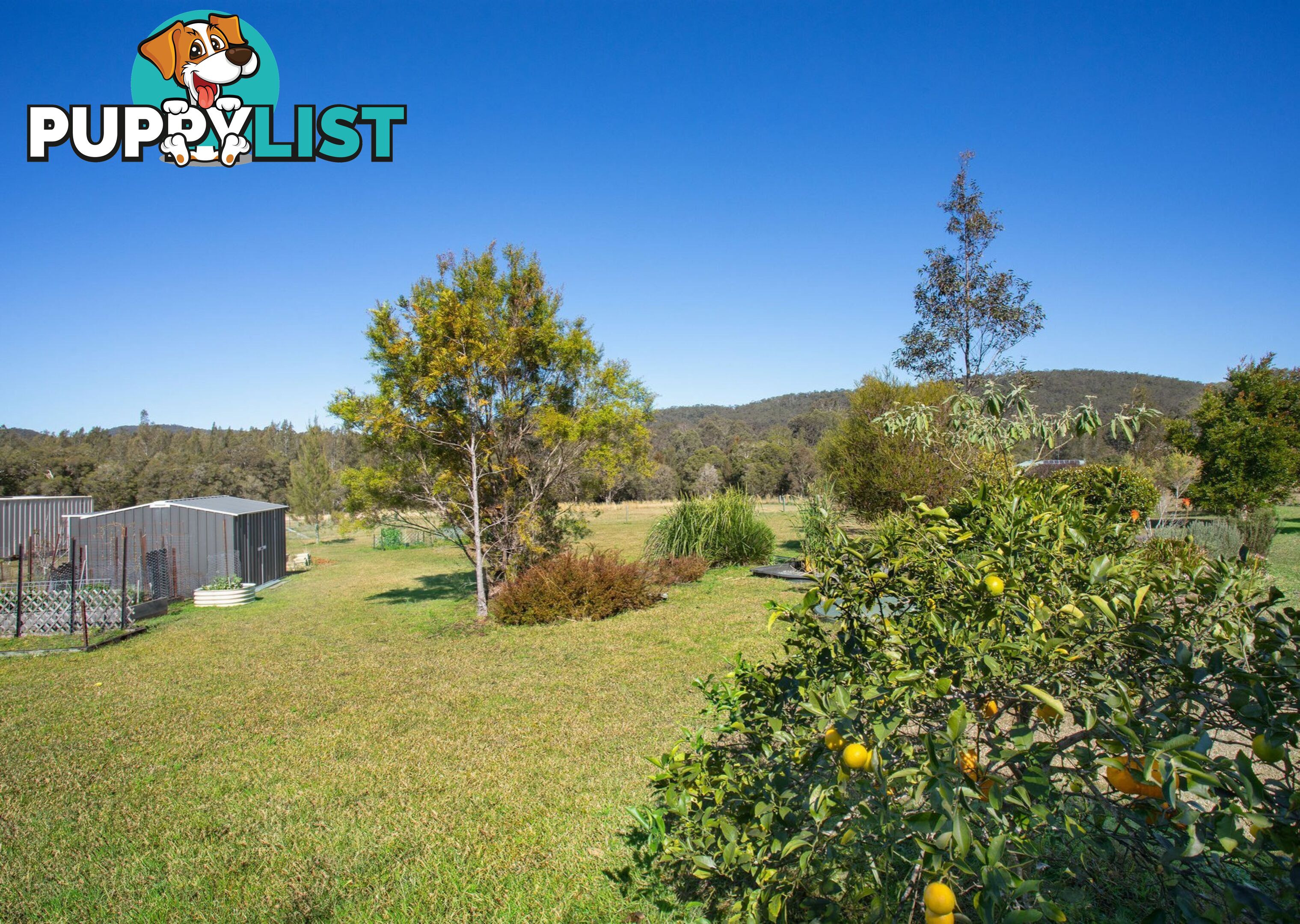 102 Melaleuca Drive COOLONGOLOOK NSW 2423