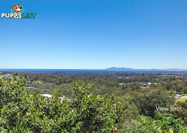 12 Augusta Point TALLWOODS VILLAGE NSW 2430