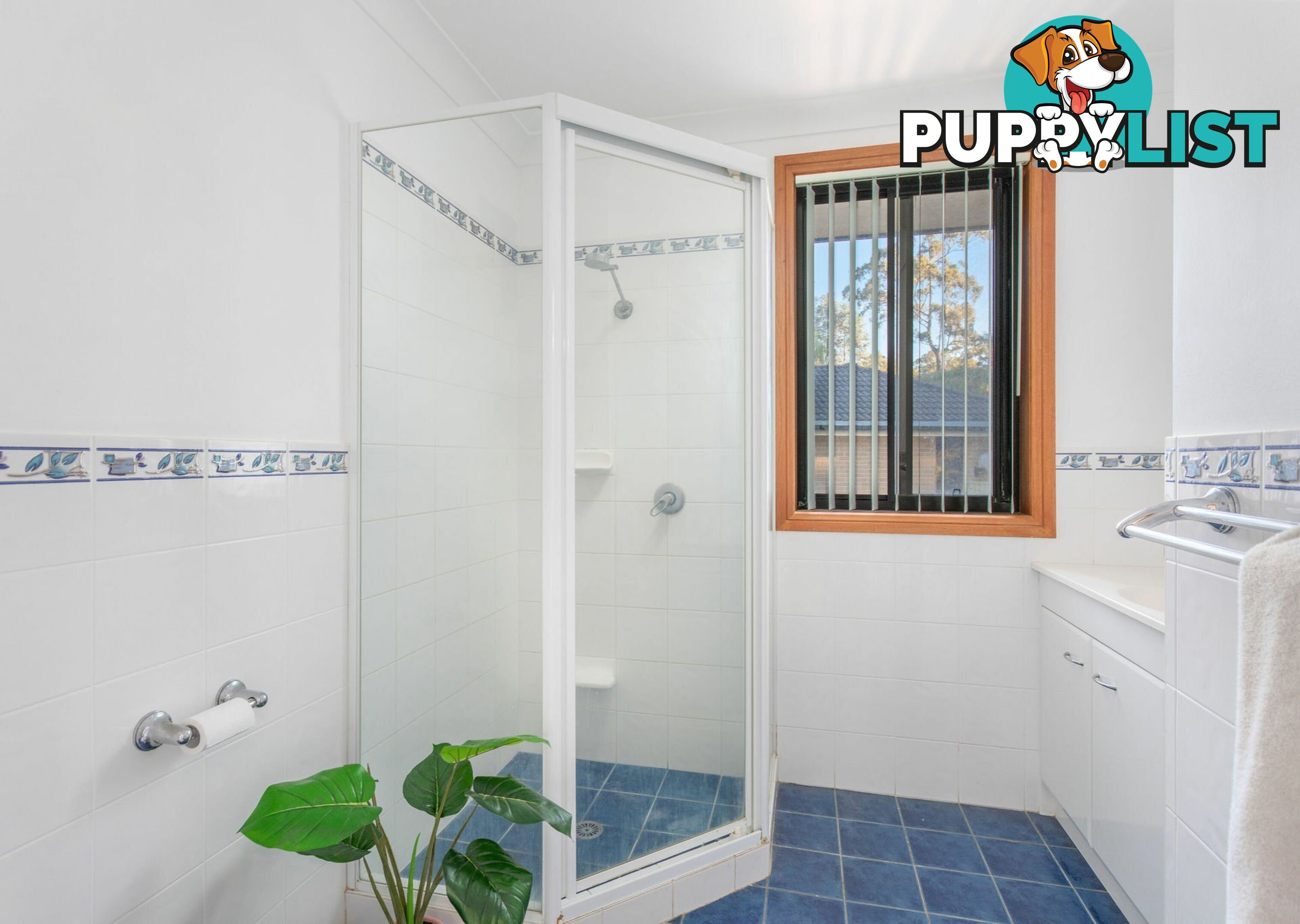 1 Illusions Court TALLWOODS VILLAGE NSW 2430