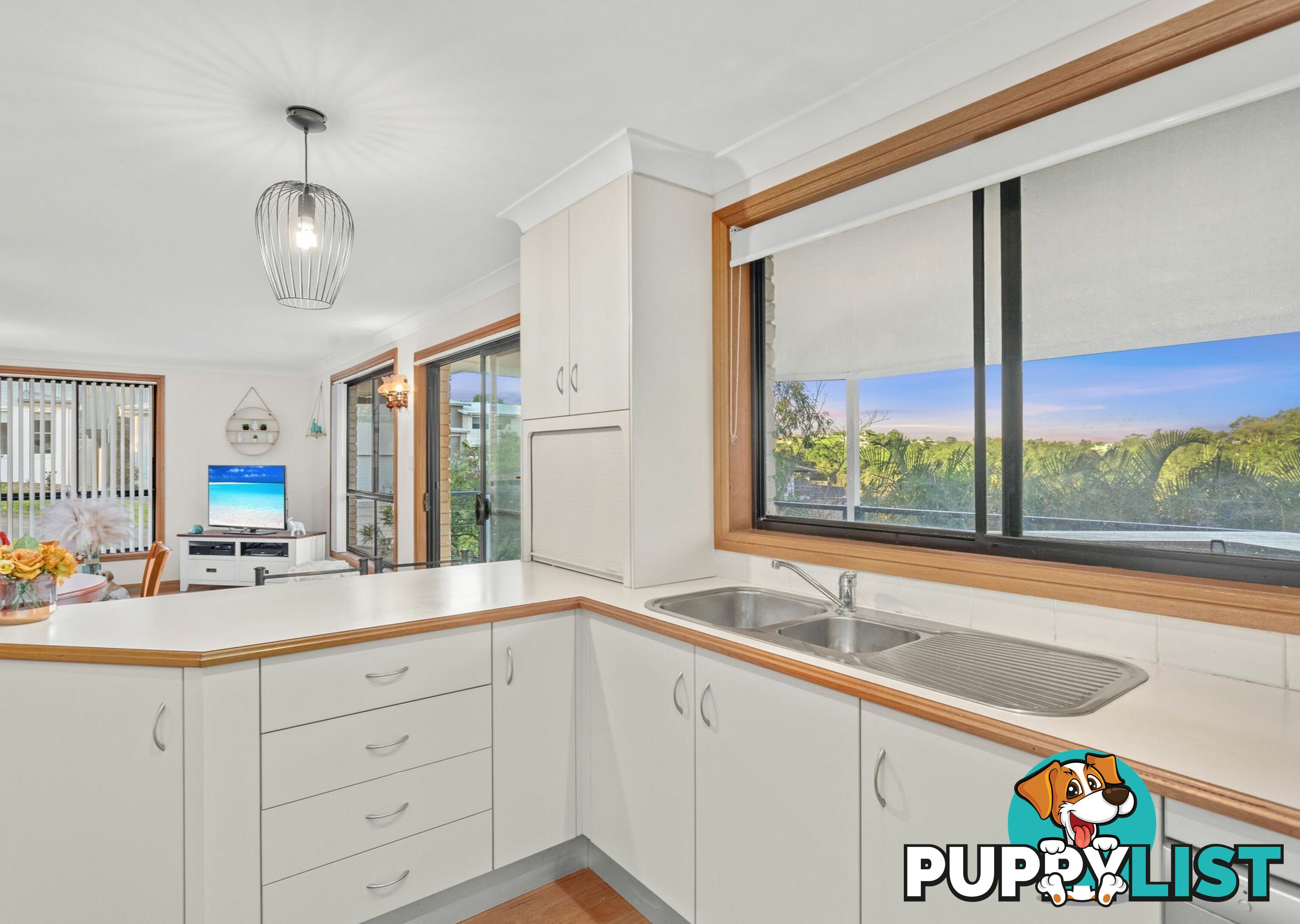 1 Illusions Court TALLWOODS VILLAGE NSW 2430