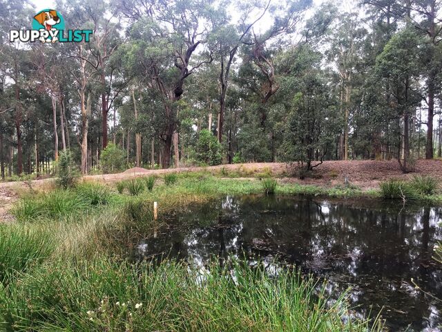 116 Gloucester Road BURRELL CREEK NSW 2429