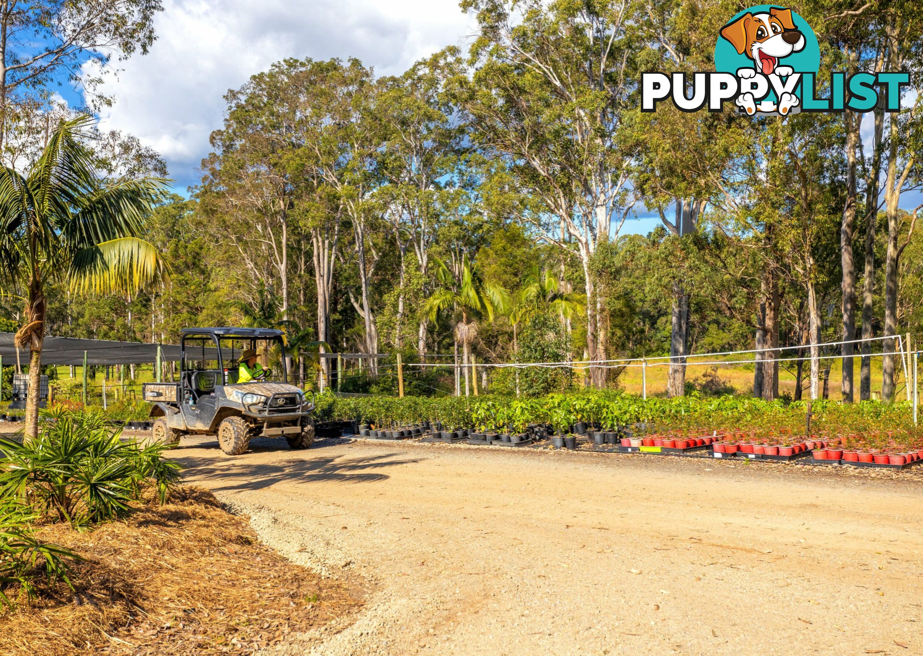 Parkland Wholesale Nursery TINONEE NSW 2430