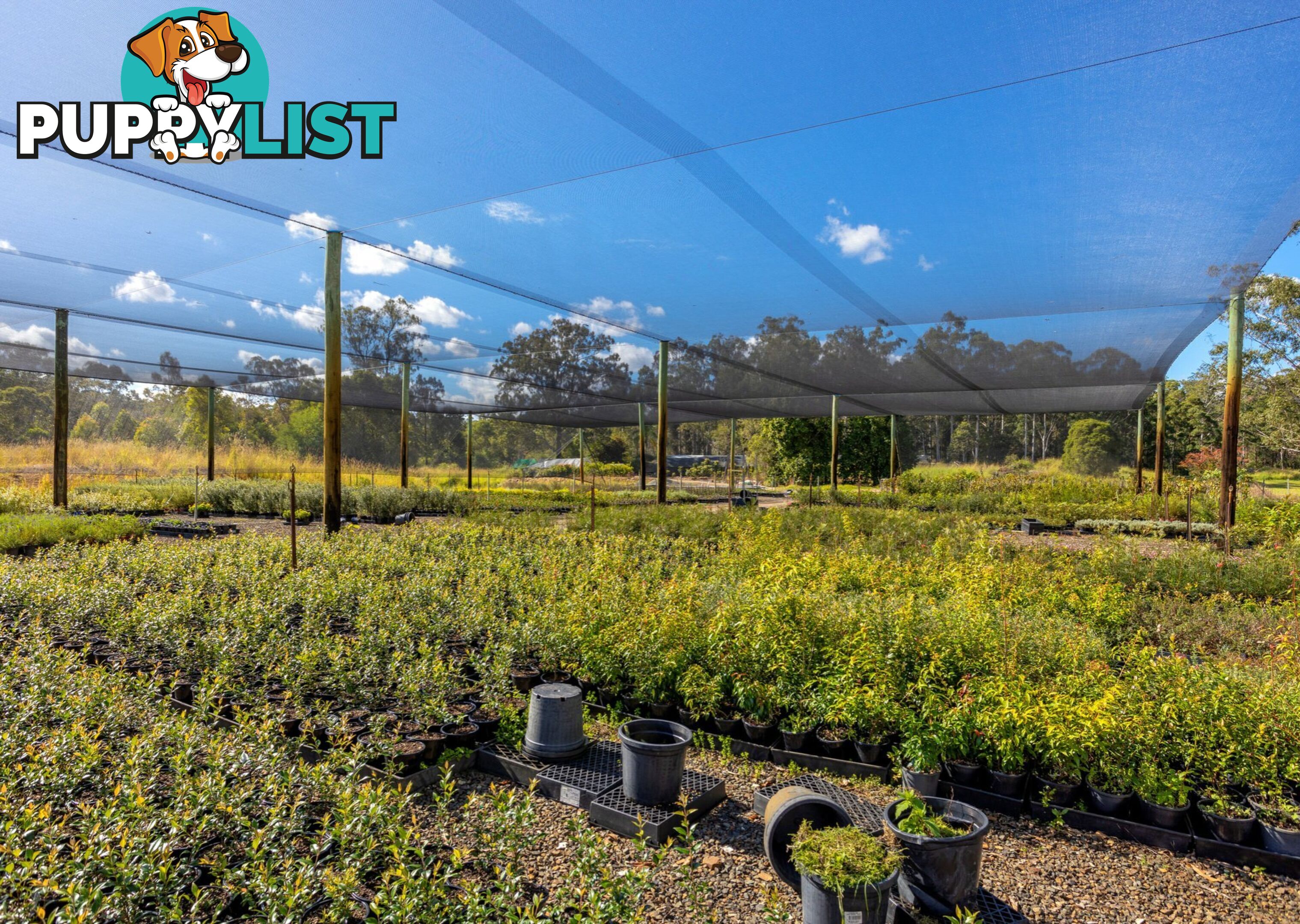 Parkland Wholesale Nursery TINONEE NSW 2430